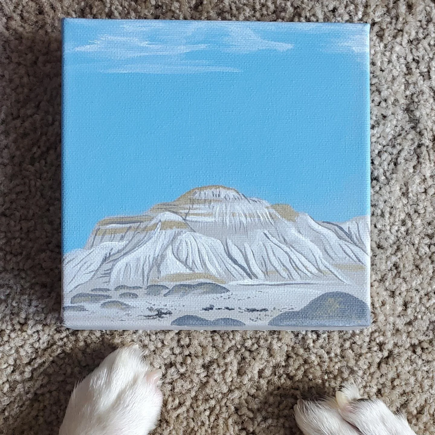 Desertscape Series #3
acrylic on canvas
2021