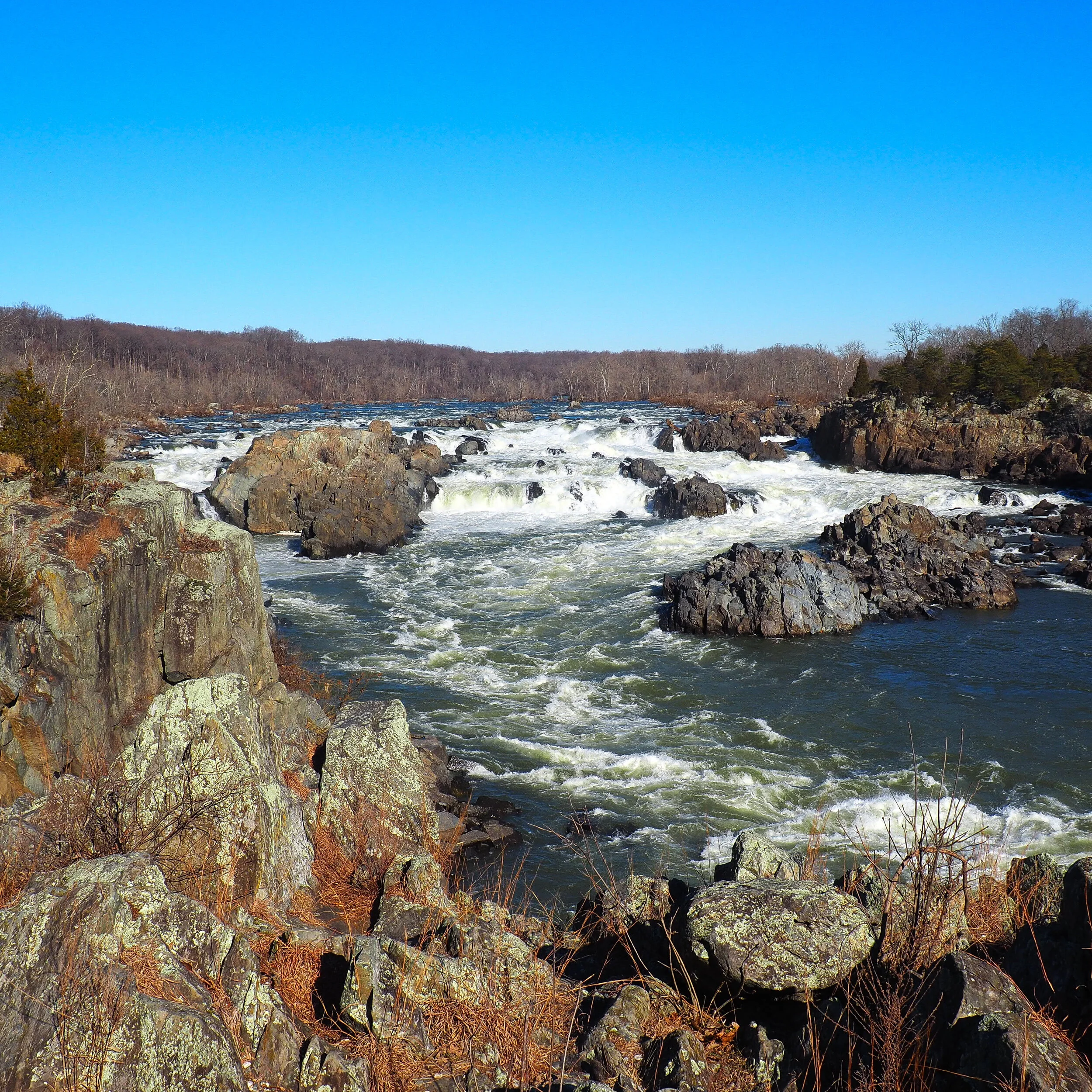 Great Falls Virginia