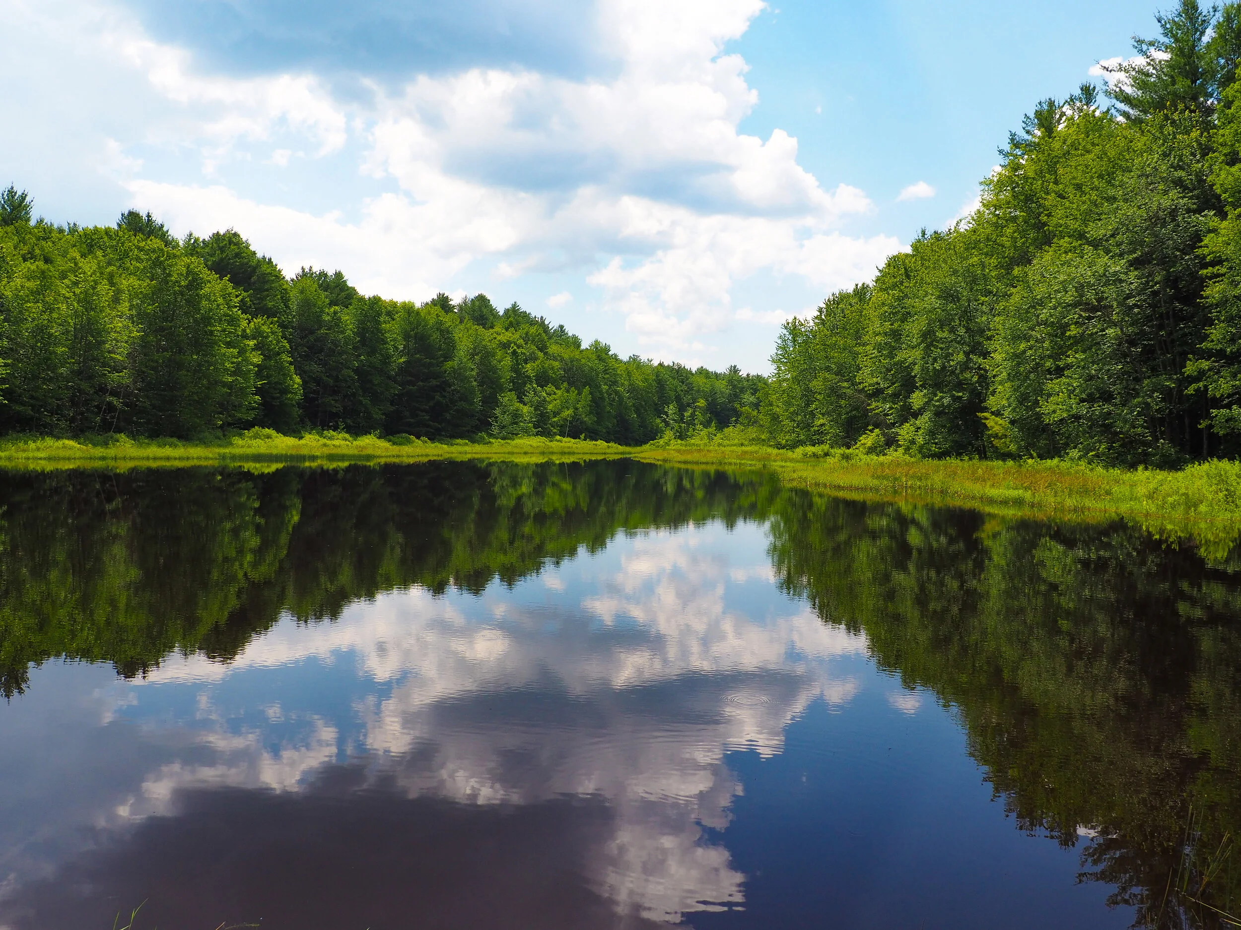 Upstate New York Waters