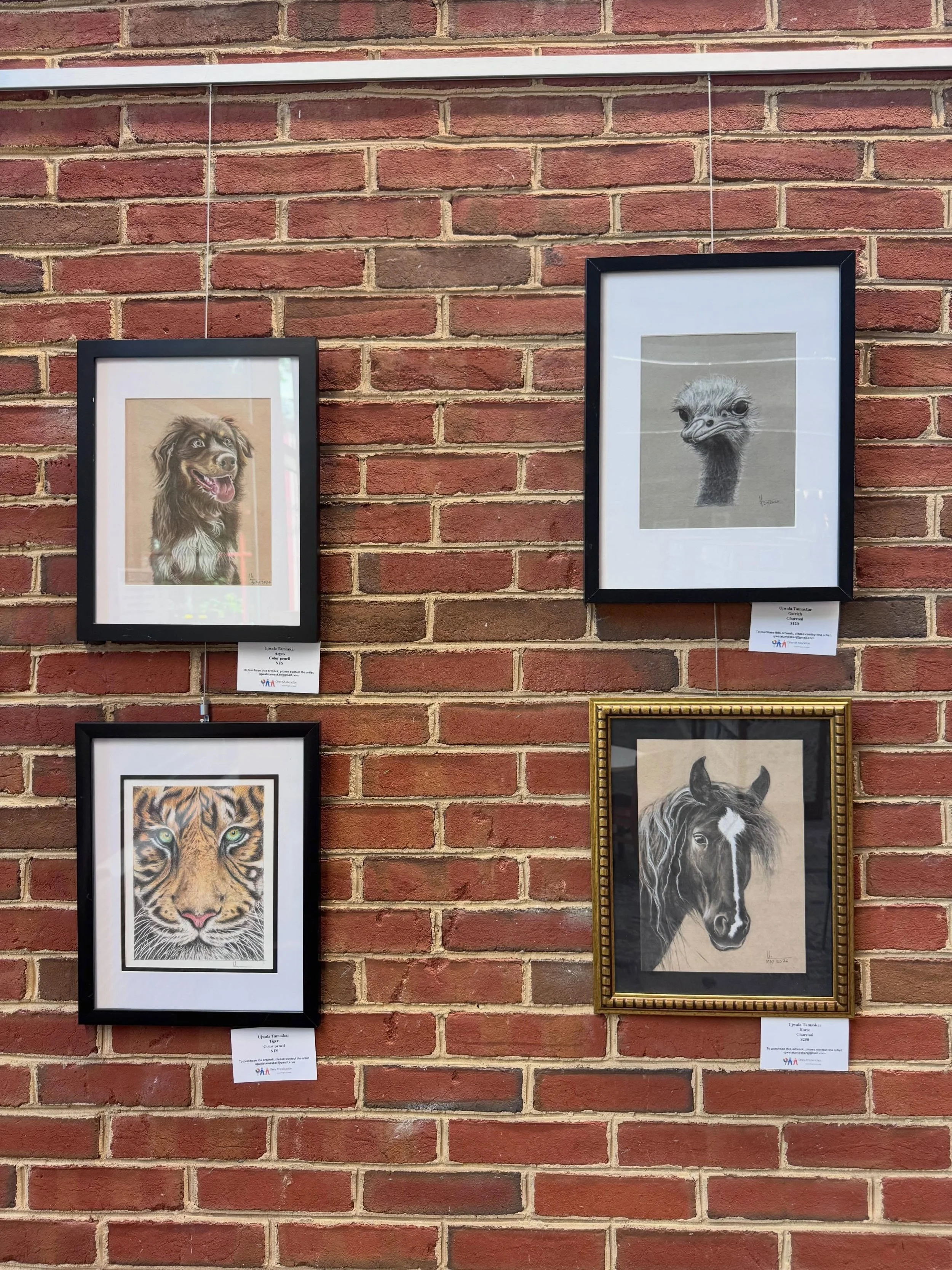 A sneak peak of Ujwala Tamaskar&rsquo;s current exhibit up now at the Olney Library!

Swing by to enjoy her work anytime during library hours. 

It&rsquo;s well worth a visit! 

#olneymd #olneylibrary #marylandart #mocomd #olneyartassociation