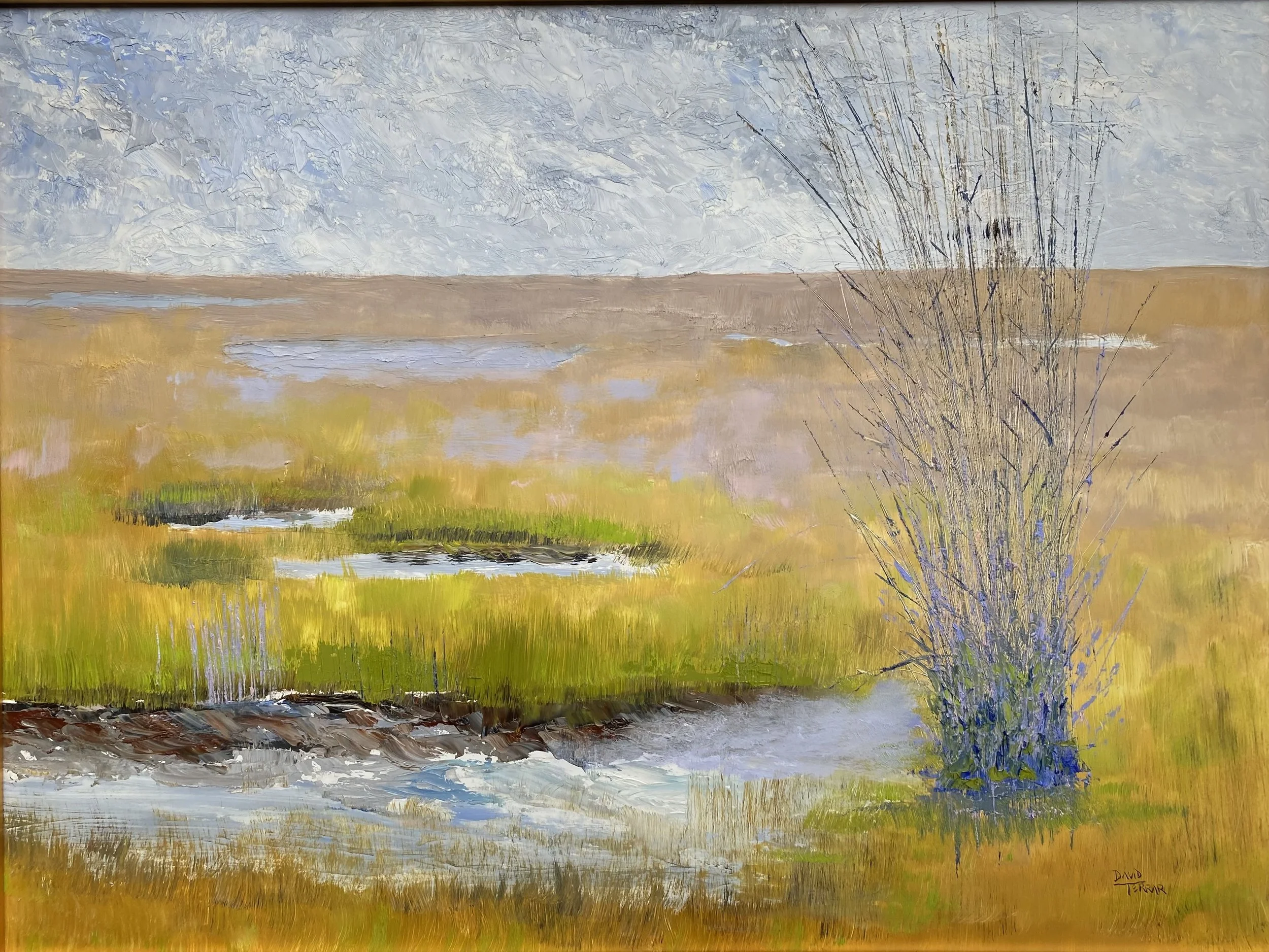 Terrar, David, "April on the Chesapeake, oil, 18x24", $500