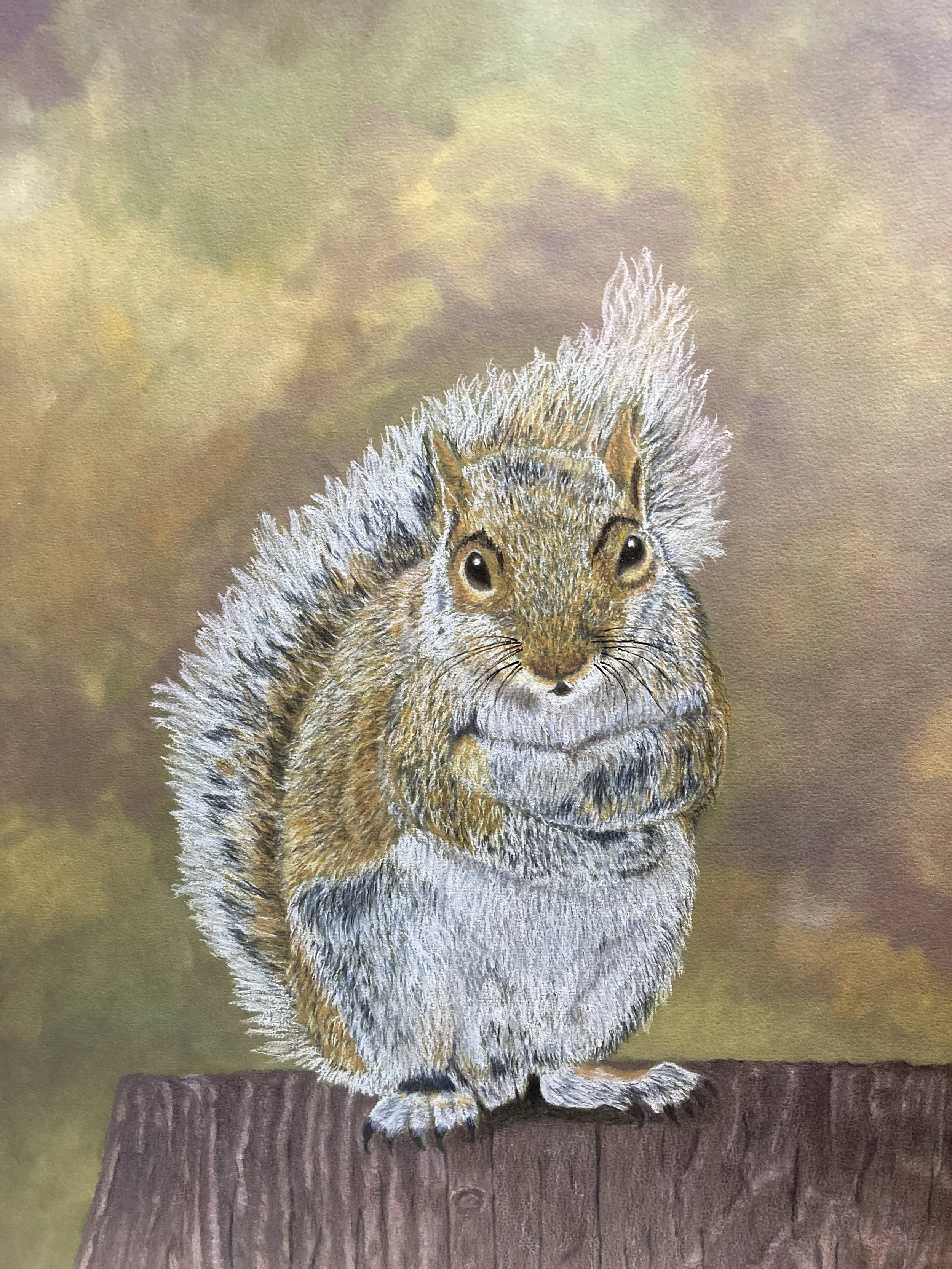 Price, Adrianne, "Mr. Defiant", colored pencil & pan pastel, 16.5 x 13.5", $650