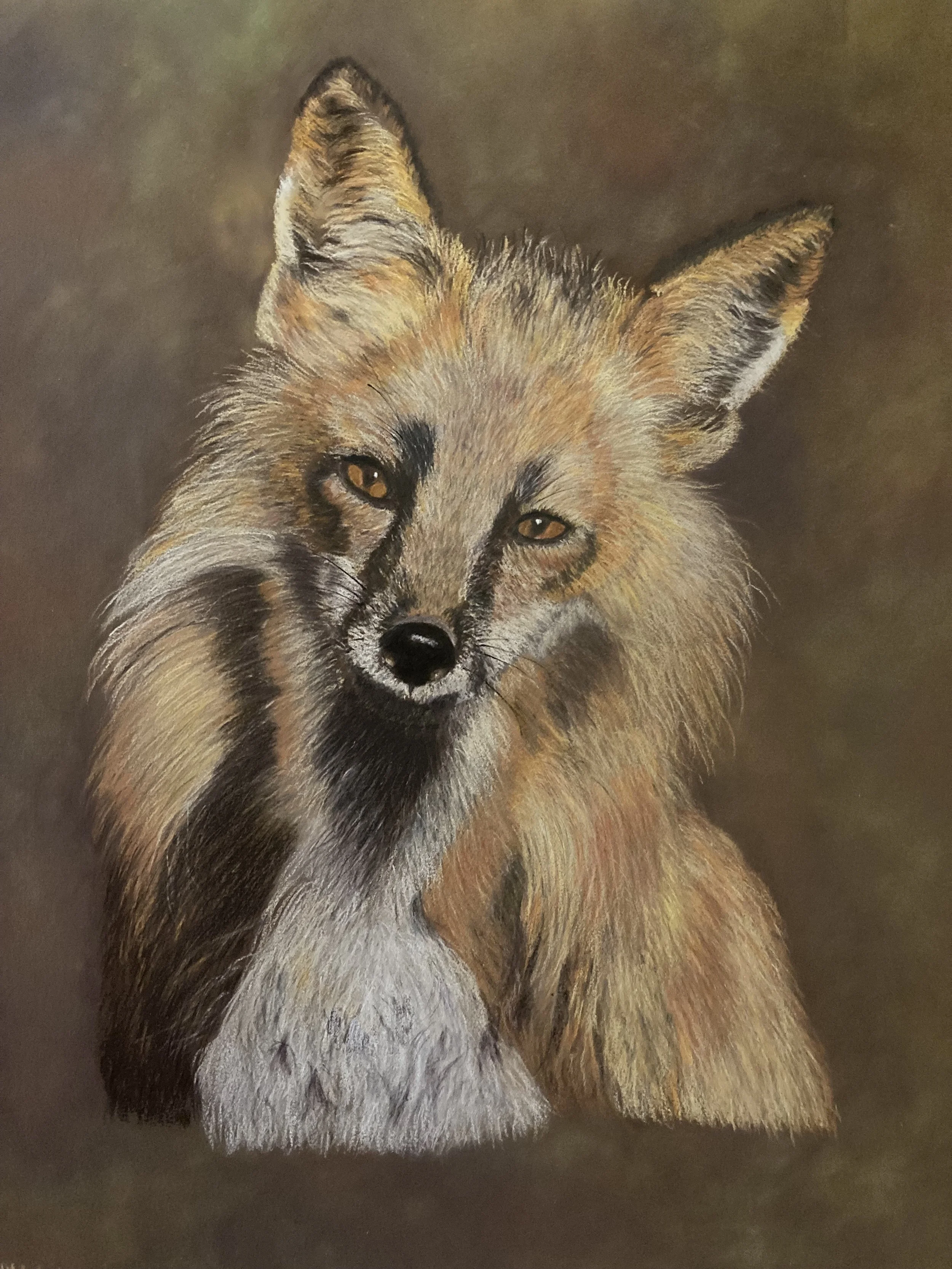 Price, Adrienne, "Foxy Lady", colored pencil & pan pastel, 16.5 x 13.5", $850