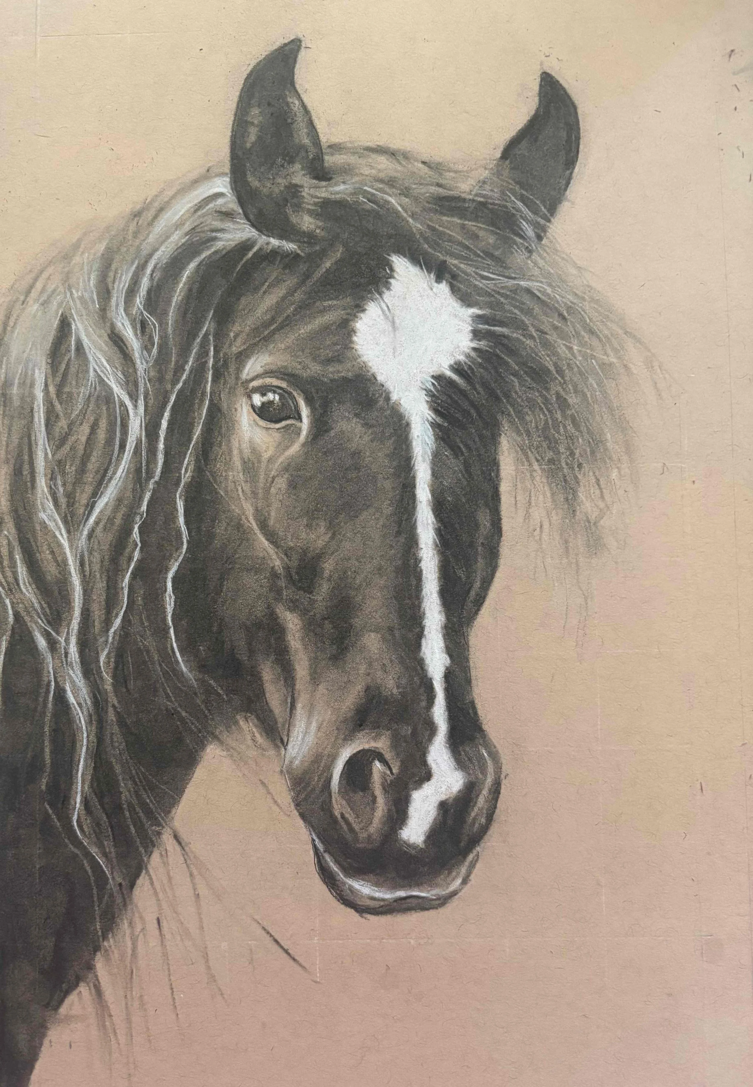 Tamaskar, Ujwala, "Horse", colored pencil, 12x16", $450