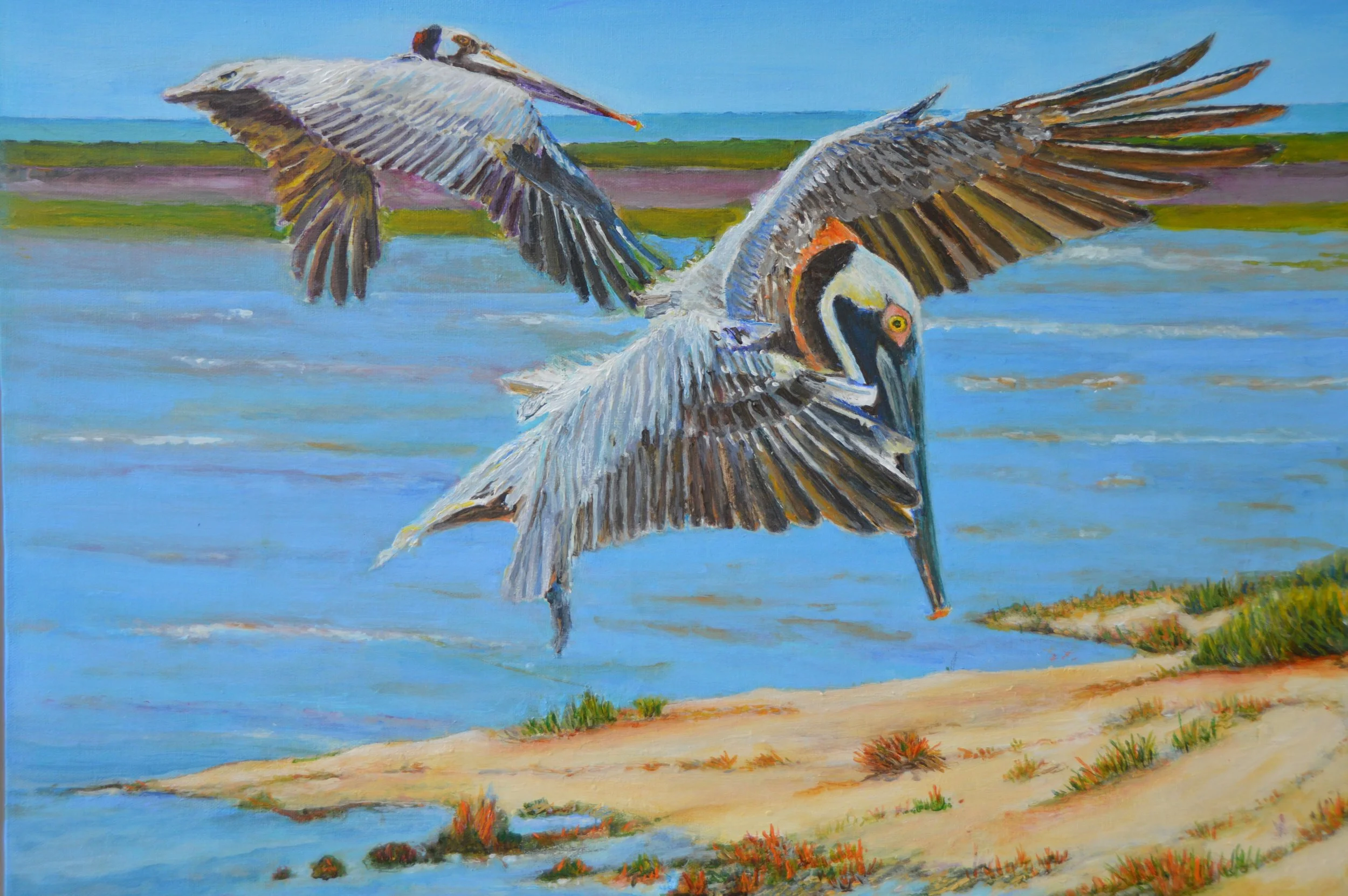 Ricar, Vladimir, "Pelicans, Smith Island", acrylic, 18x24", $400