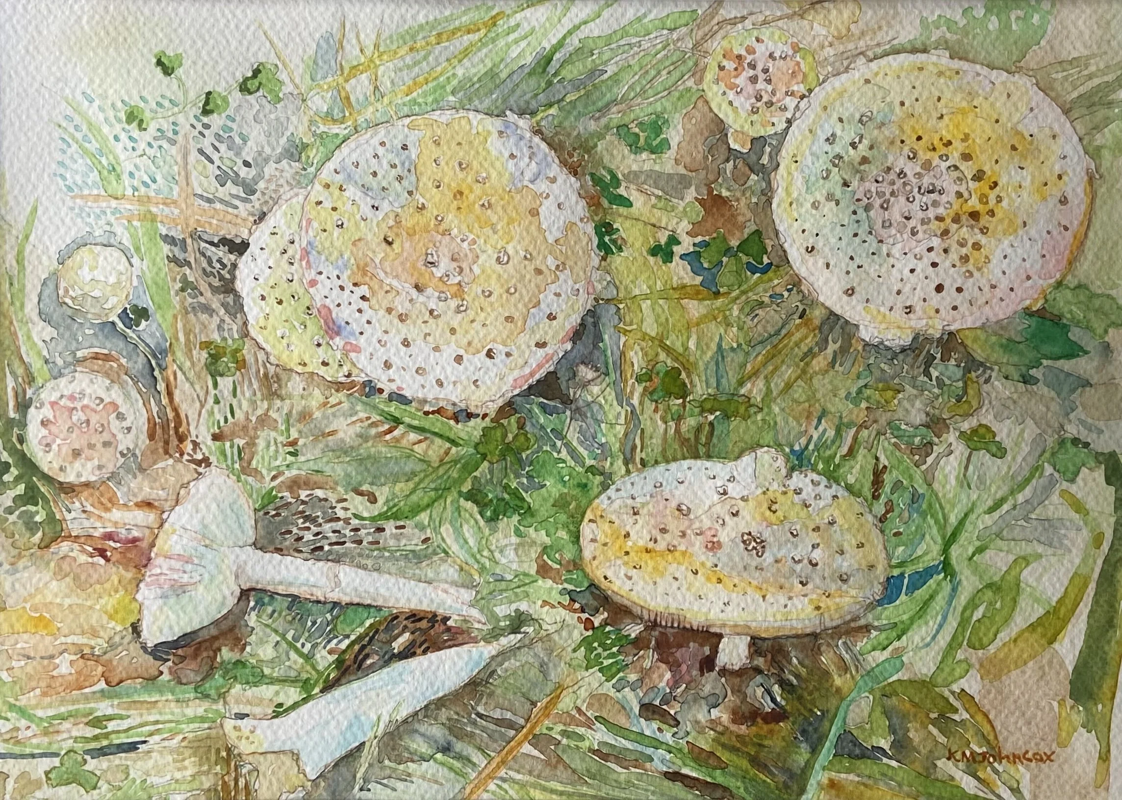 Johncox, Kristine, "Fall Nature Sighting", watercolor, 13.25 x 17.5, $135, 2026 Juried Show Honorable Mention