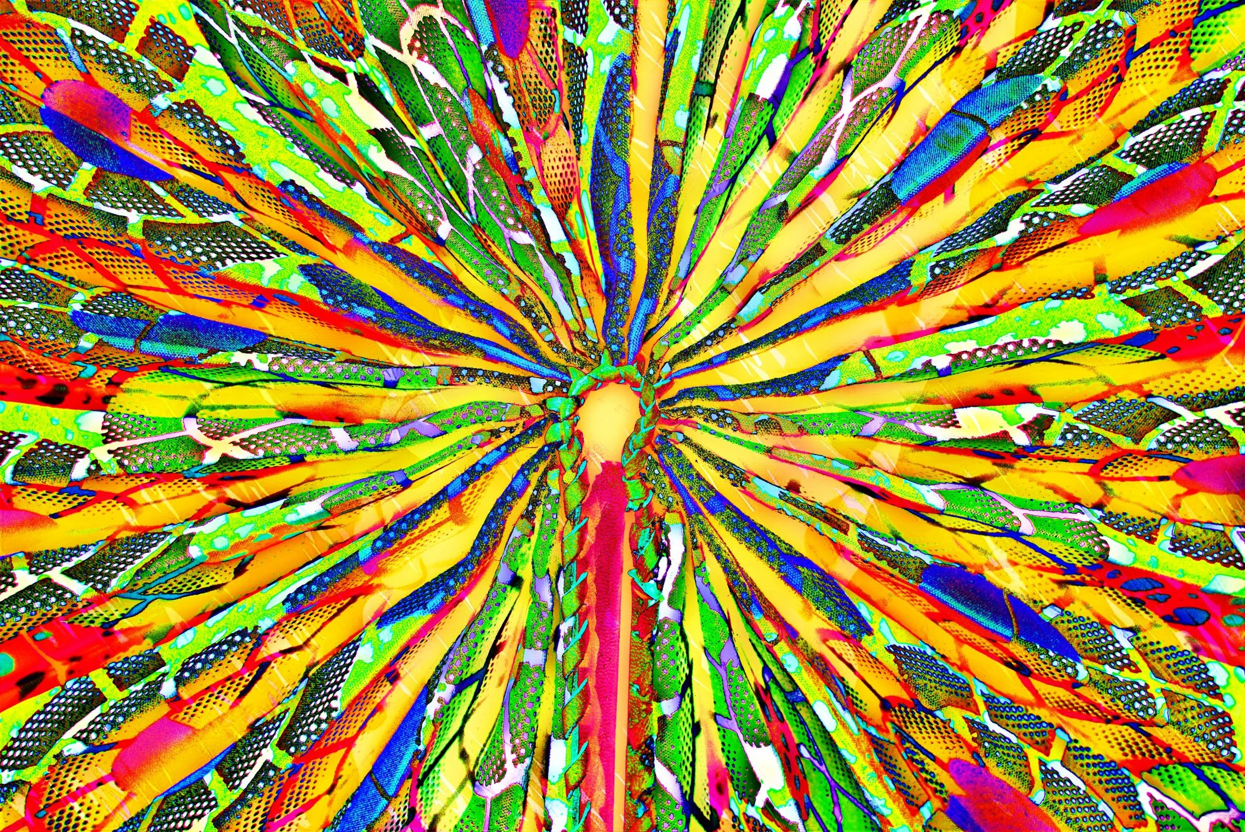 Martin, Joseph, "Kaleidoscope Bloom", photo, 16x24", $495