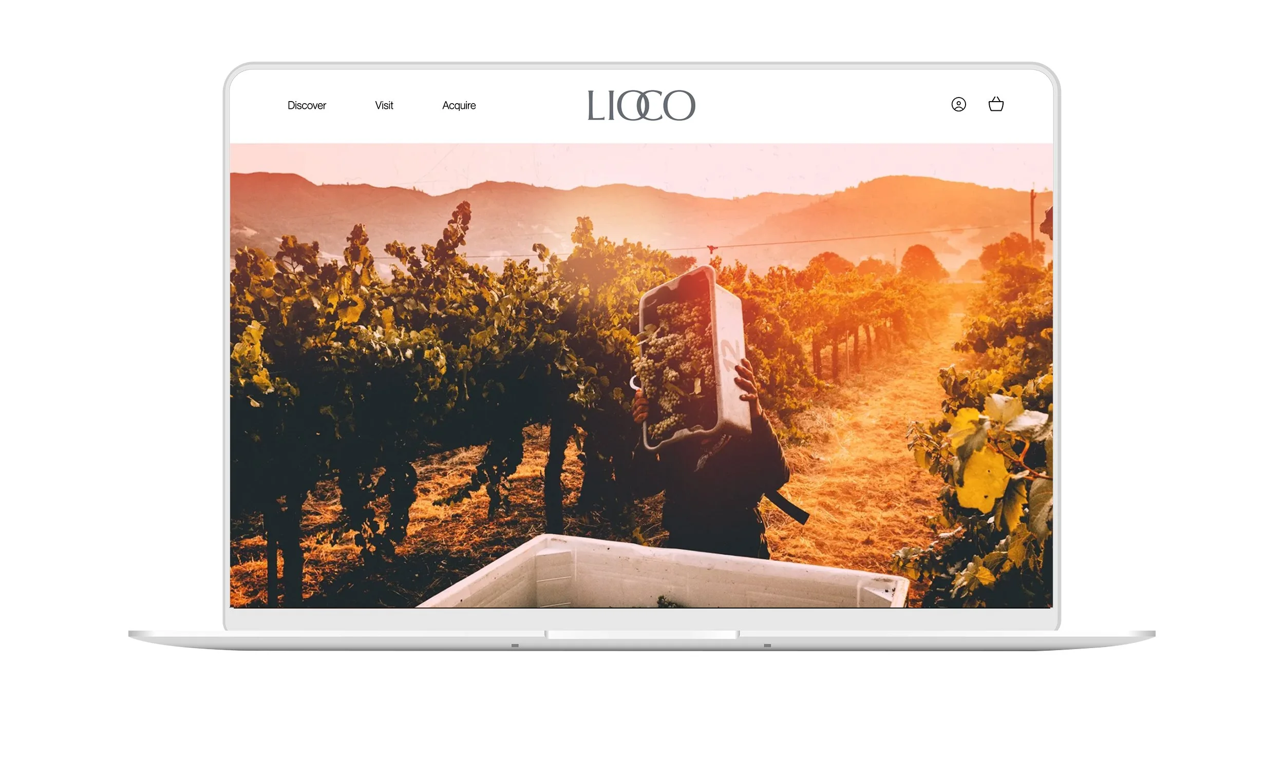 Lioco Wine