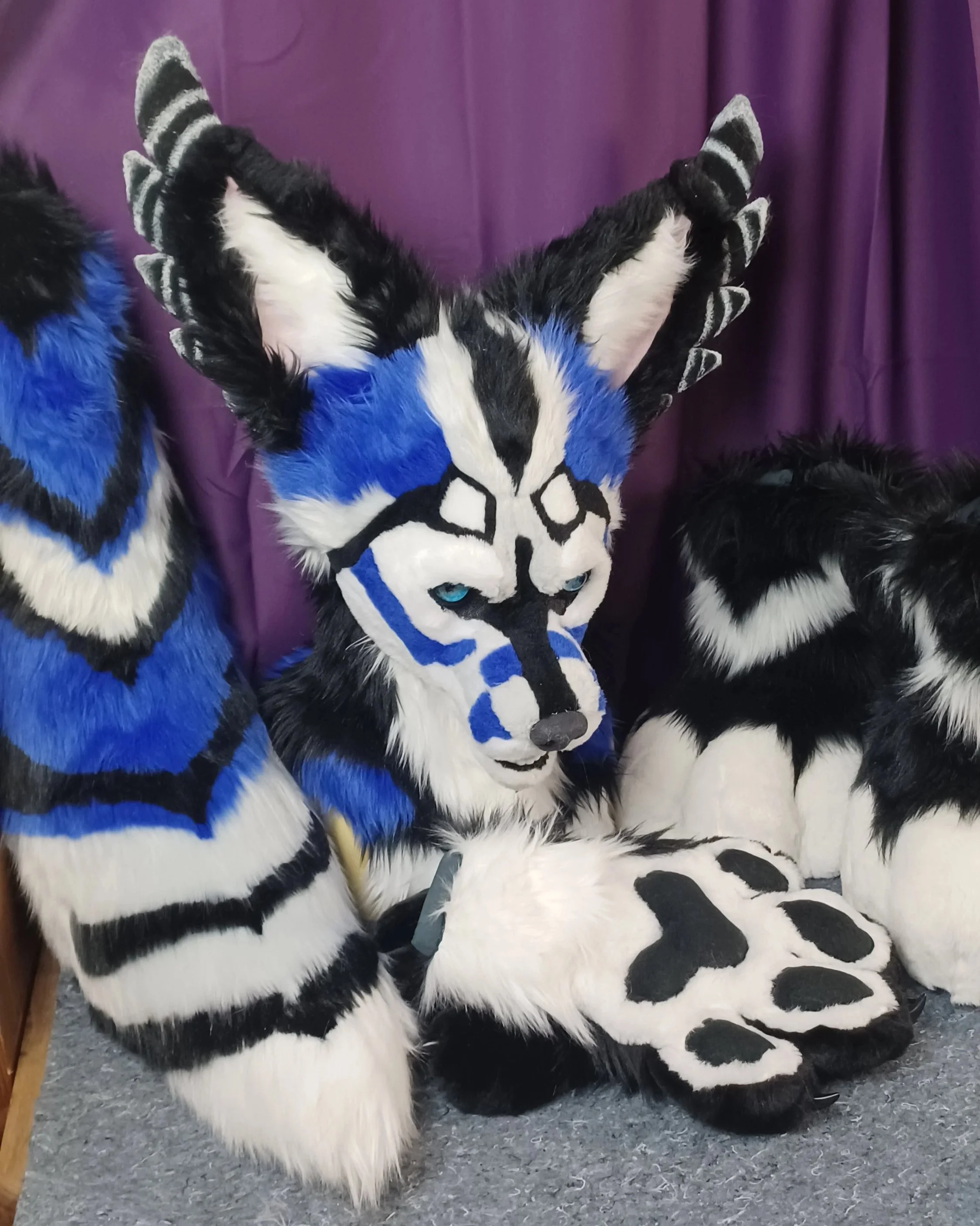 Furry costume of a blue and black tiger with white accents, featuring large blue eyes, black and white striped ears, and detailed face markings, seated on a gray carpet in front of purple curtains.