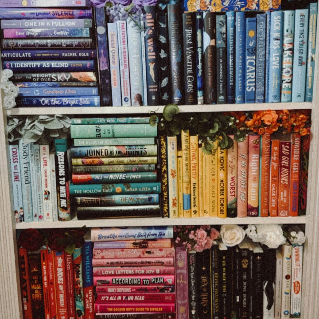 Featured Post: Disability Representation Rainbow Shelfie