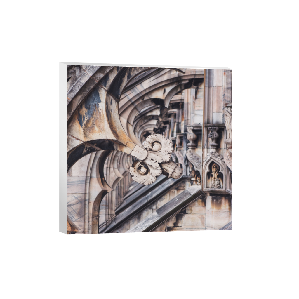 canvas_square_839_0_3648_3648_0_false_ffffff_0_0.png
