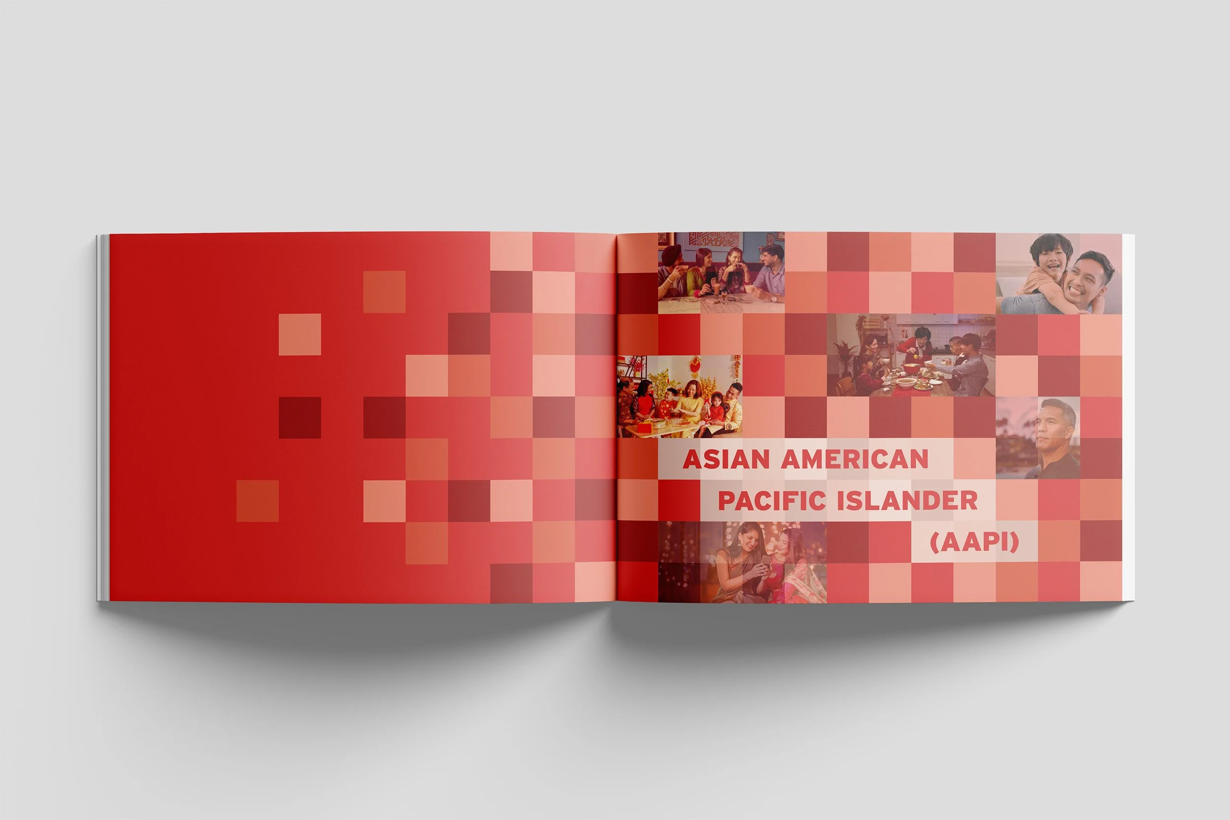 Case Study Book-3 AAPI-010001 Free Open A4 Landscape Magazine Mockup Top View.jpg