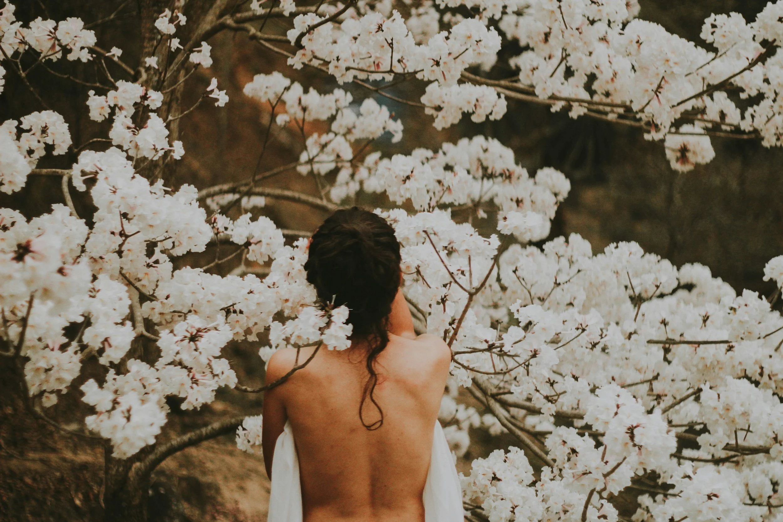 A woman with long dark curly hair, seen from behind, is sitting in front of white flowering cherry blossom trees, partially covered with a white cloth draped over her shoulders.