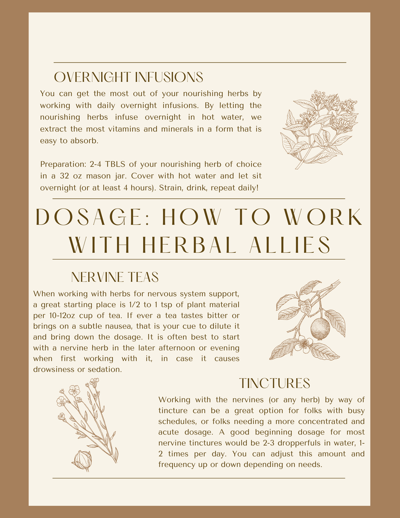 TFC Resource Templates (Newsletter).png