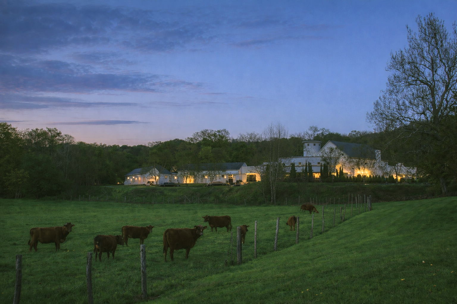B’nai Israel Campus