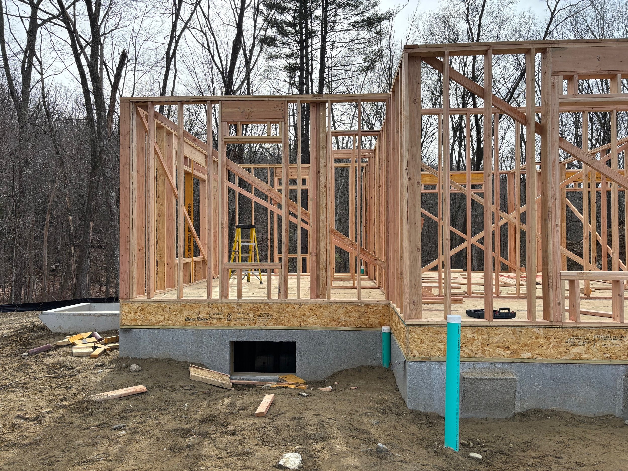 First floor framing
