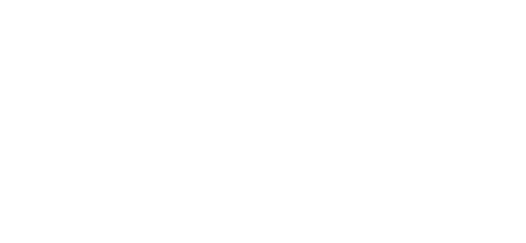 Dr. Silvina Irwin