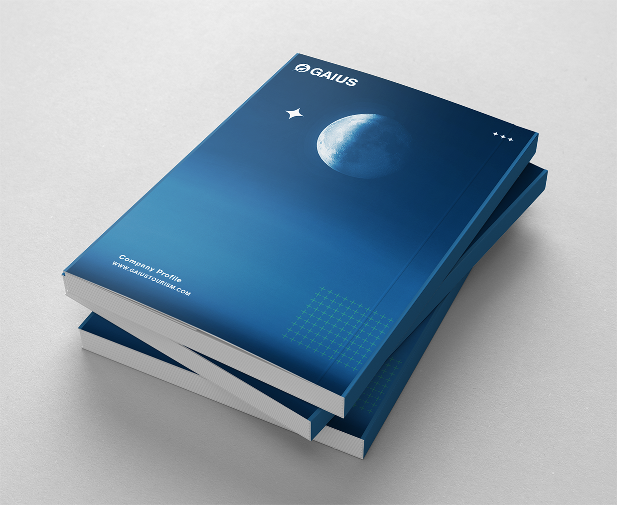 annual report2.png