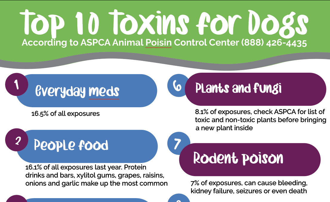 Poison Prevention Awareness Month