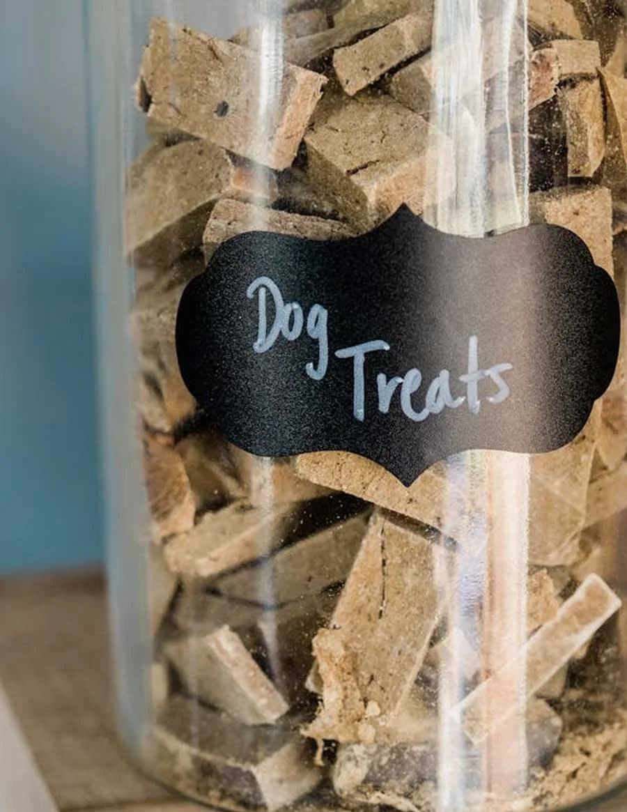Stay Safe with Your Pup: Understanding Microplastics and Kibble Storage