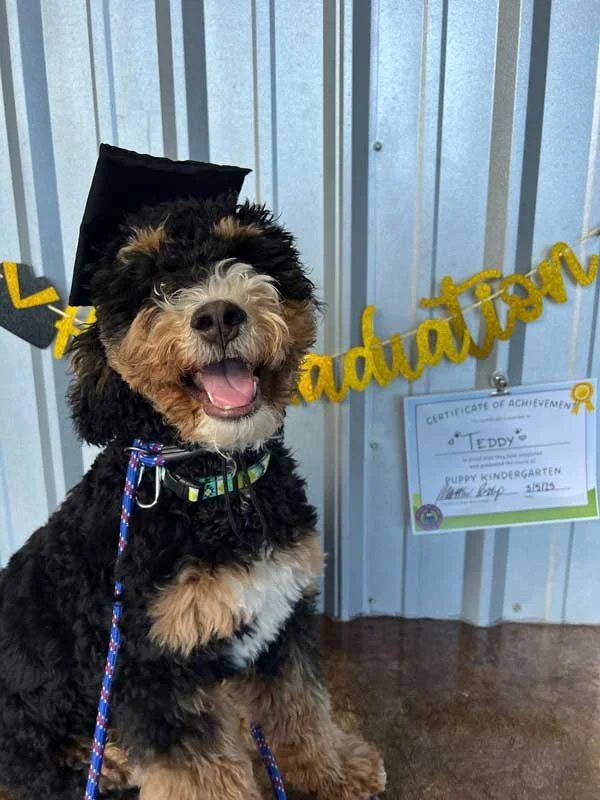 a-dogs-best-friend-best-doggy-daycare-vancouver-wa_puppy9.jpg