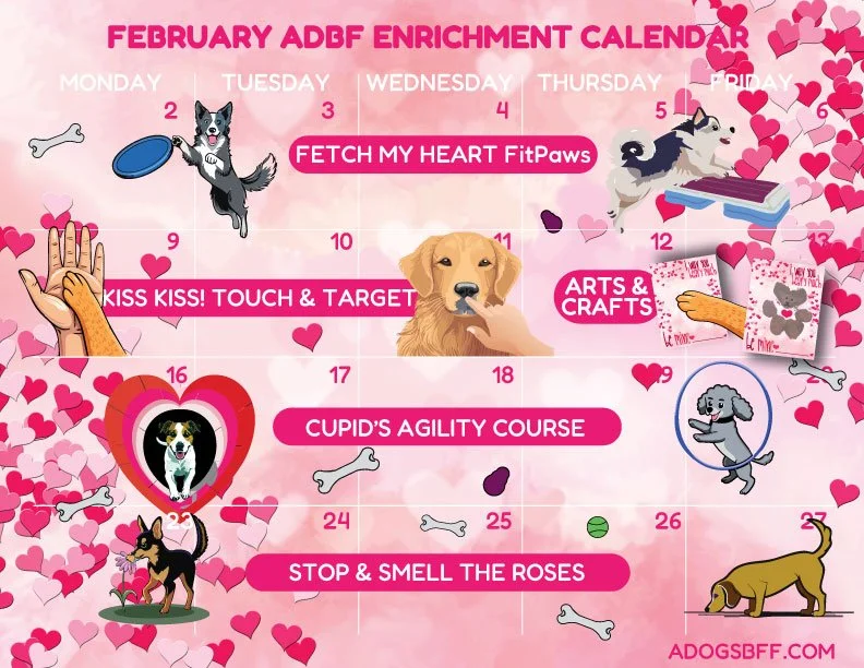 February enrichment calendar for dogs with activities and events. Icons include dogs, hearts, bones, and related images with pink background and hearts for decoration.