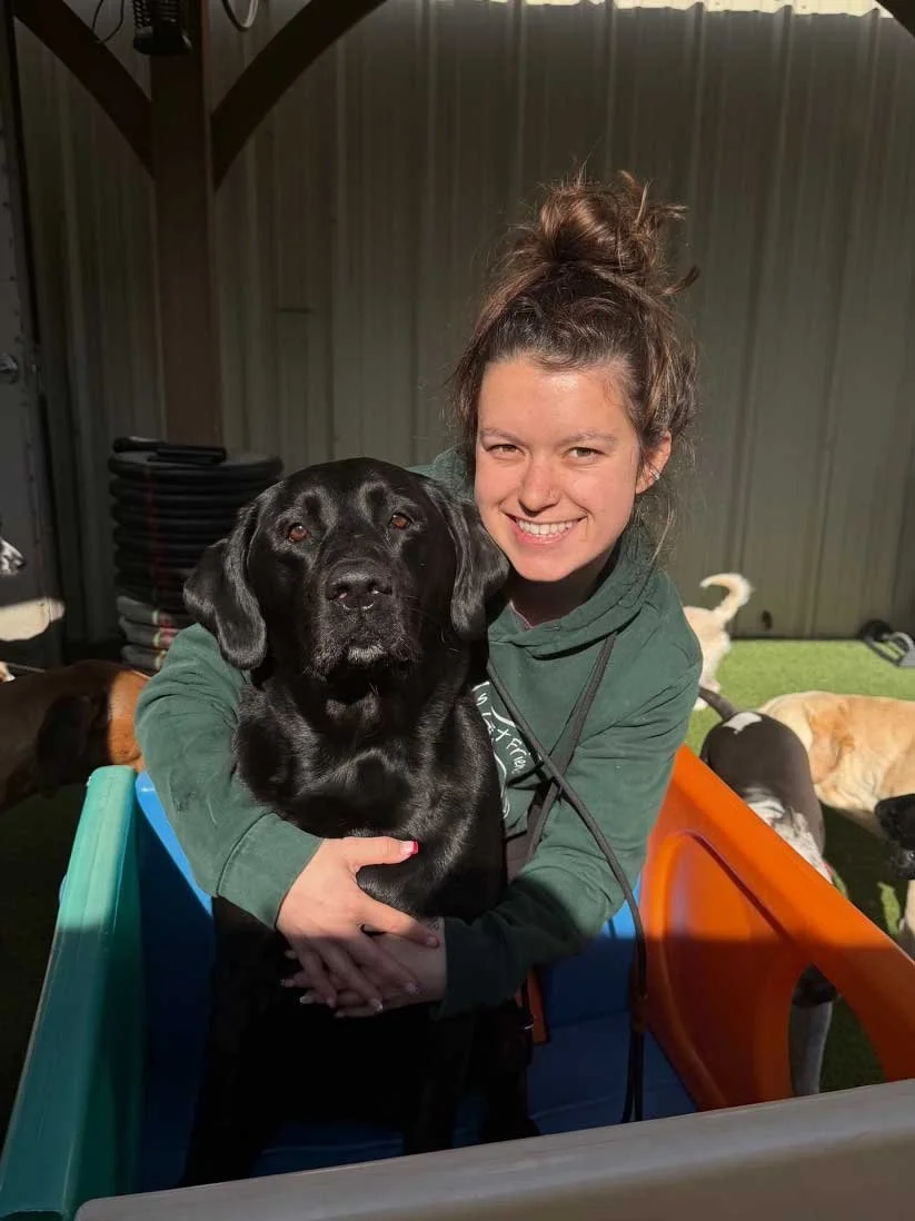 A woman holding and hugging a black lab inside a playground structure with other dogs roaming around in the background.