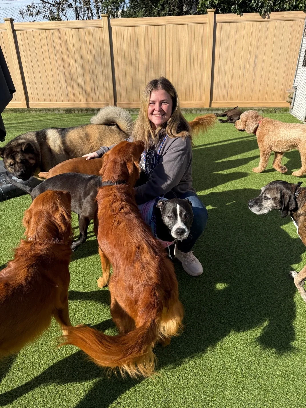 A woman with blond hair smiling and hugging a bunch of dogs piled up around her on turf grass