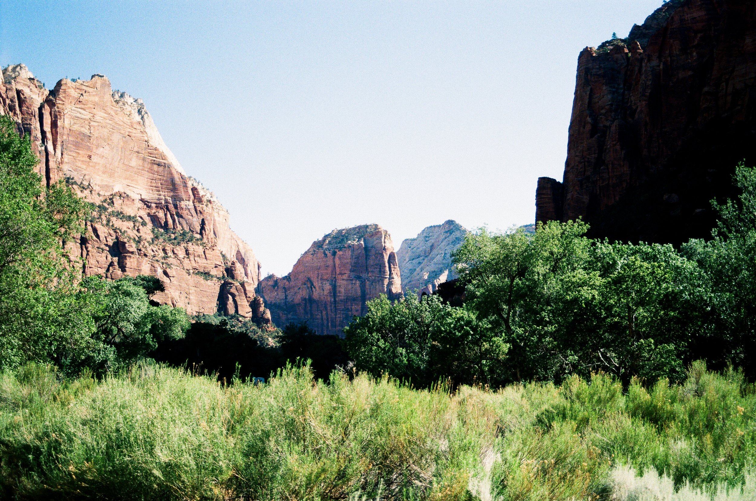 Scenic view of Zion National Park with towering red rock formations and green trees in the foreground under a clear blue sky.