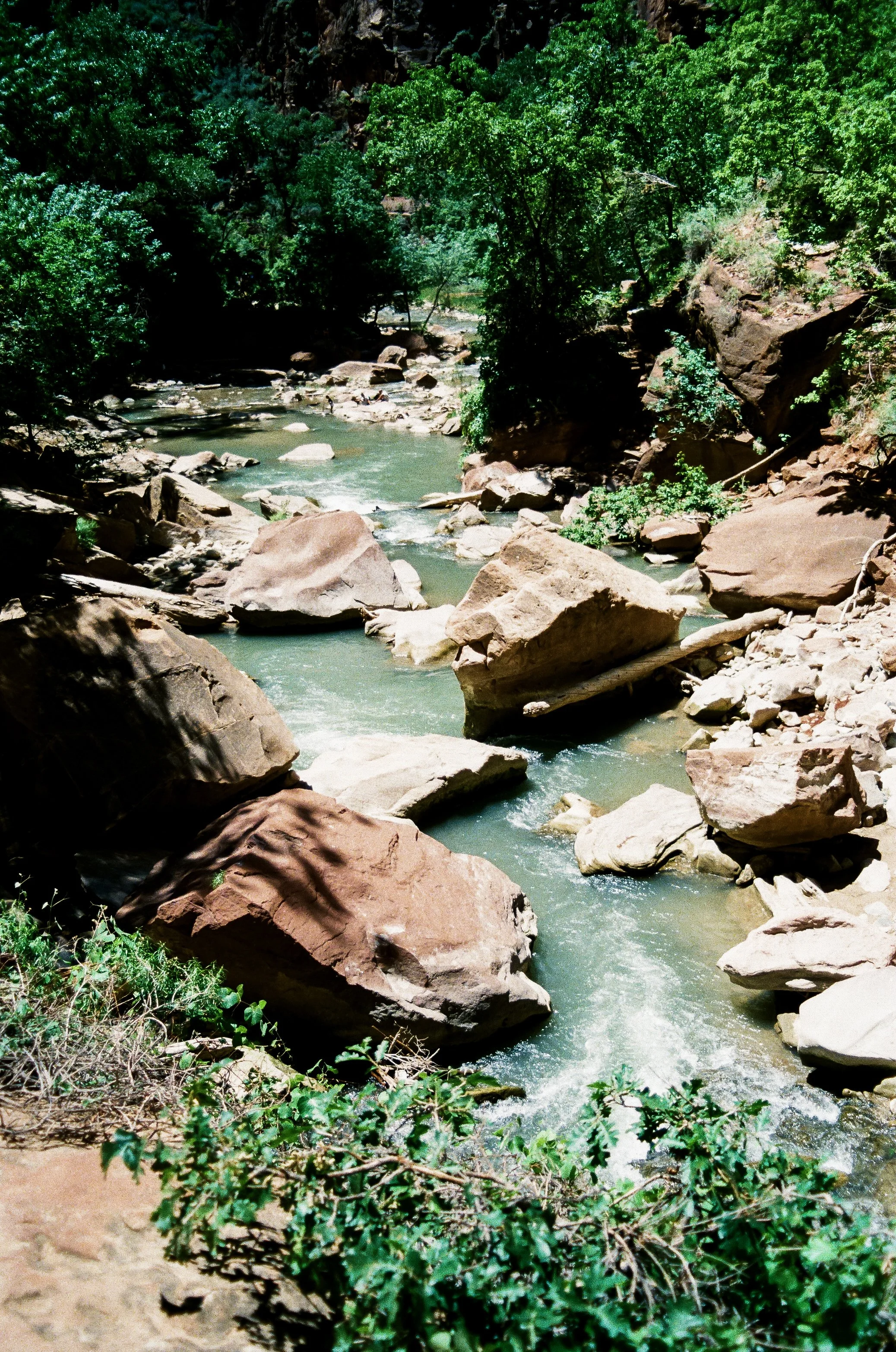 A rocky creek surrounded by green trees and shrubs, with large boulders in the water and along the riverbanks, in a natural outdoor setting.