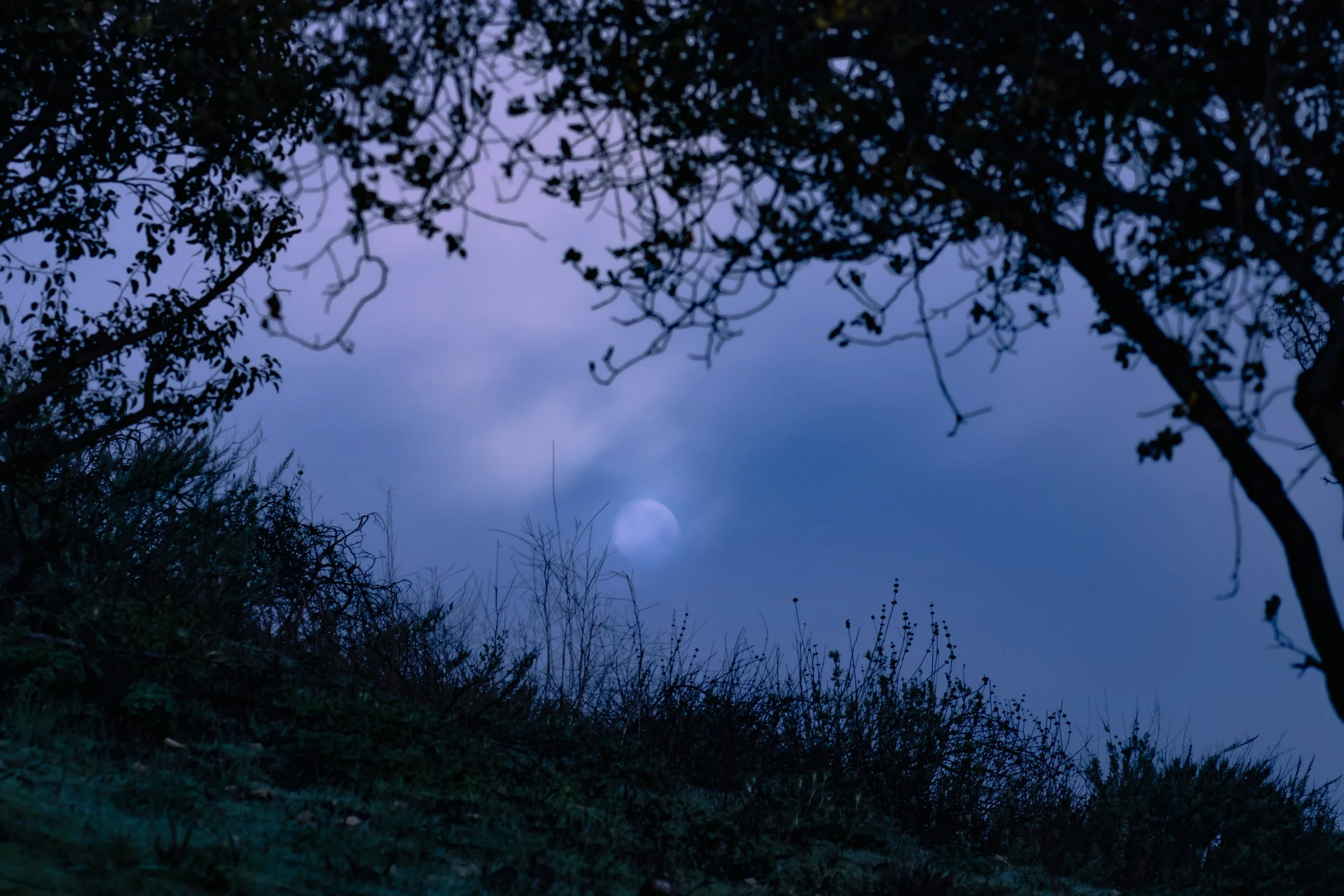 DAWN_HIKE_CAVE_MUNITS.jpg