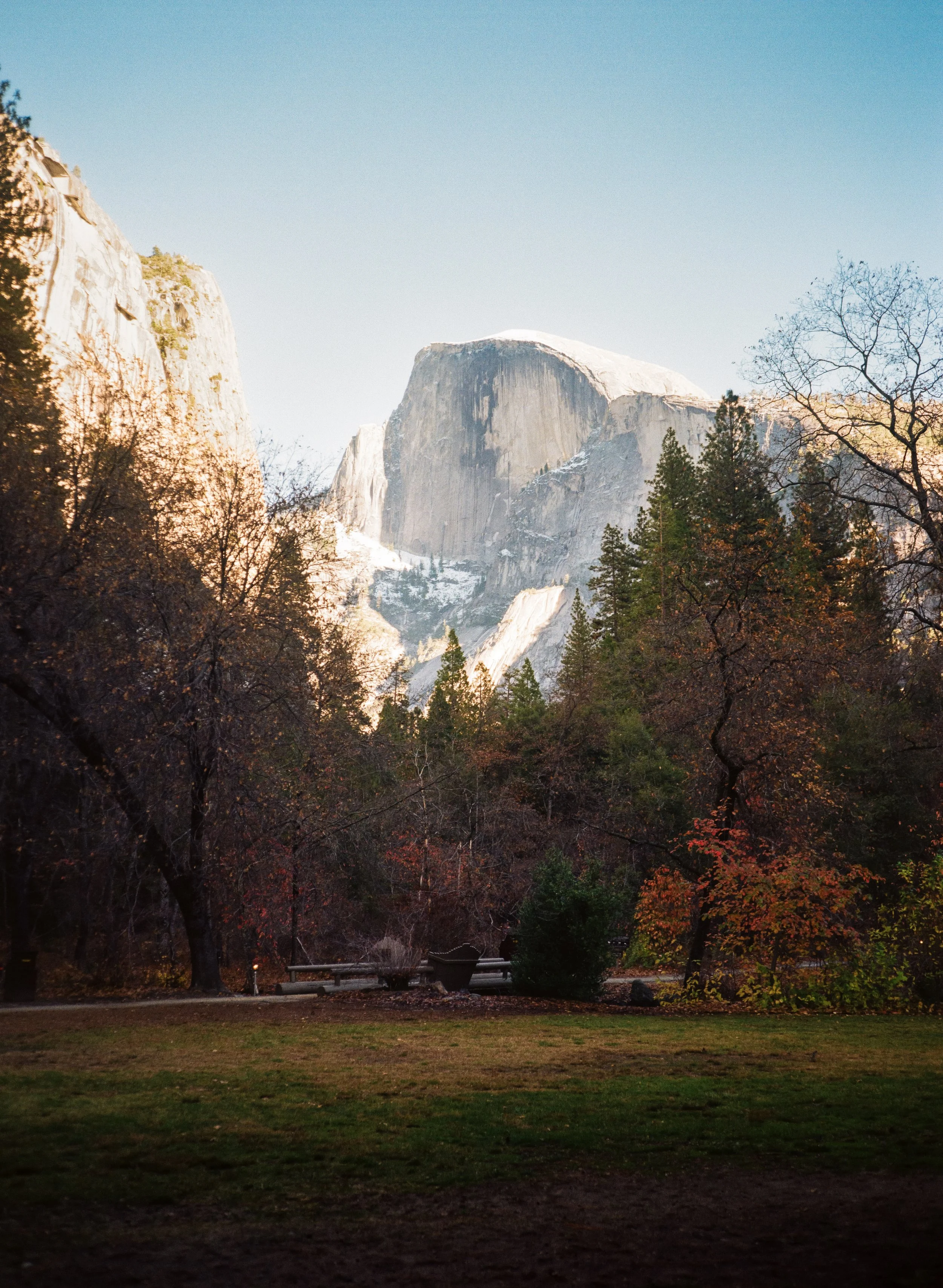 View of Half Dome mountain with snow on top, surrounded by trees with autumn foliage, under a clear blue sky.