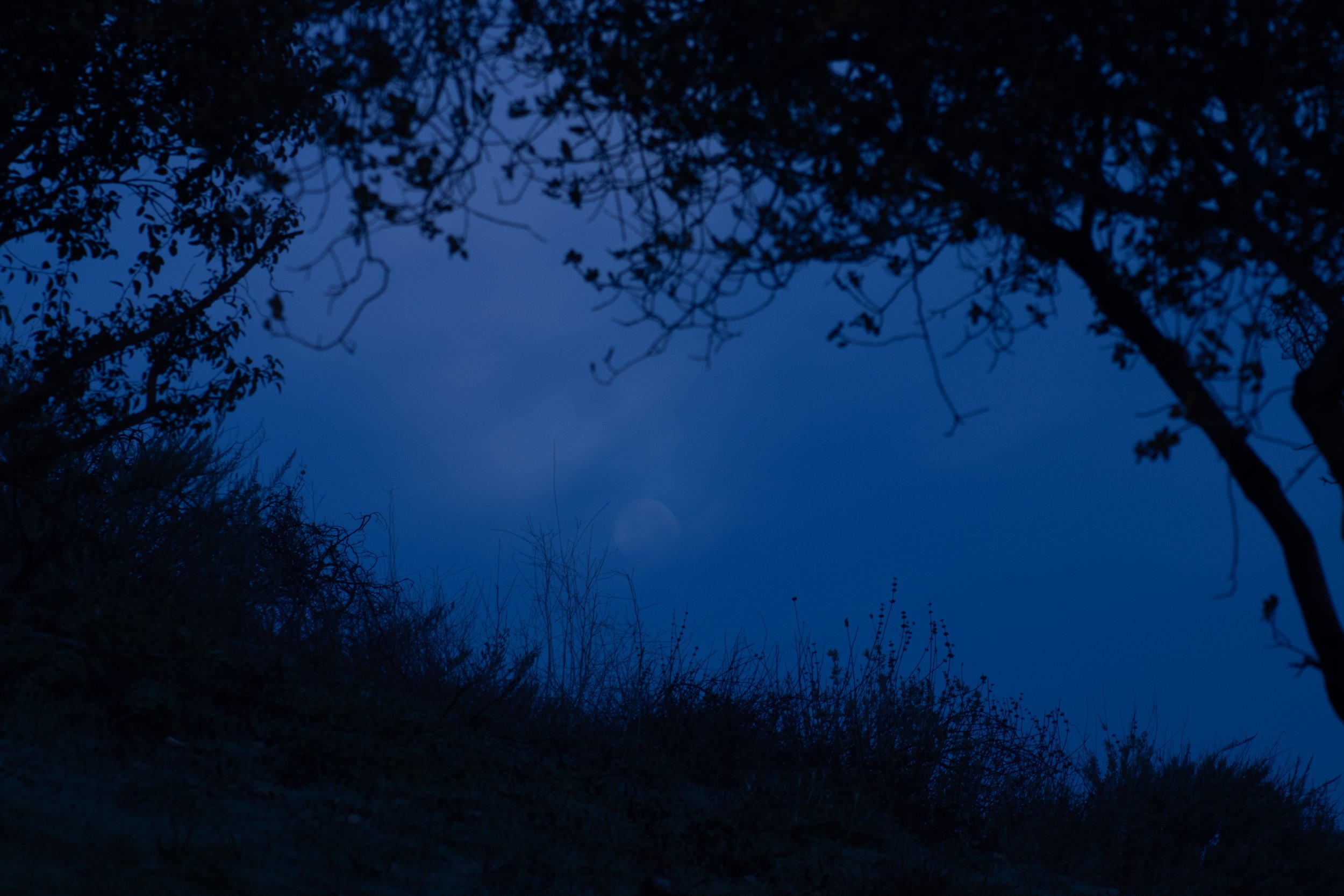BEFORE_DAWN_HIKE_CAVE_MUNITS.jpg