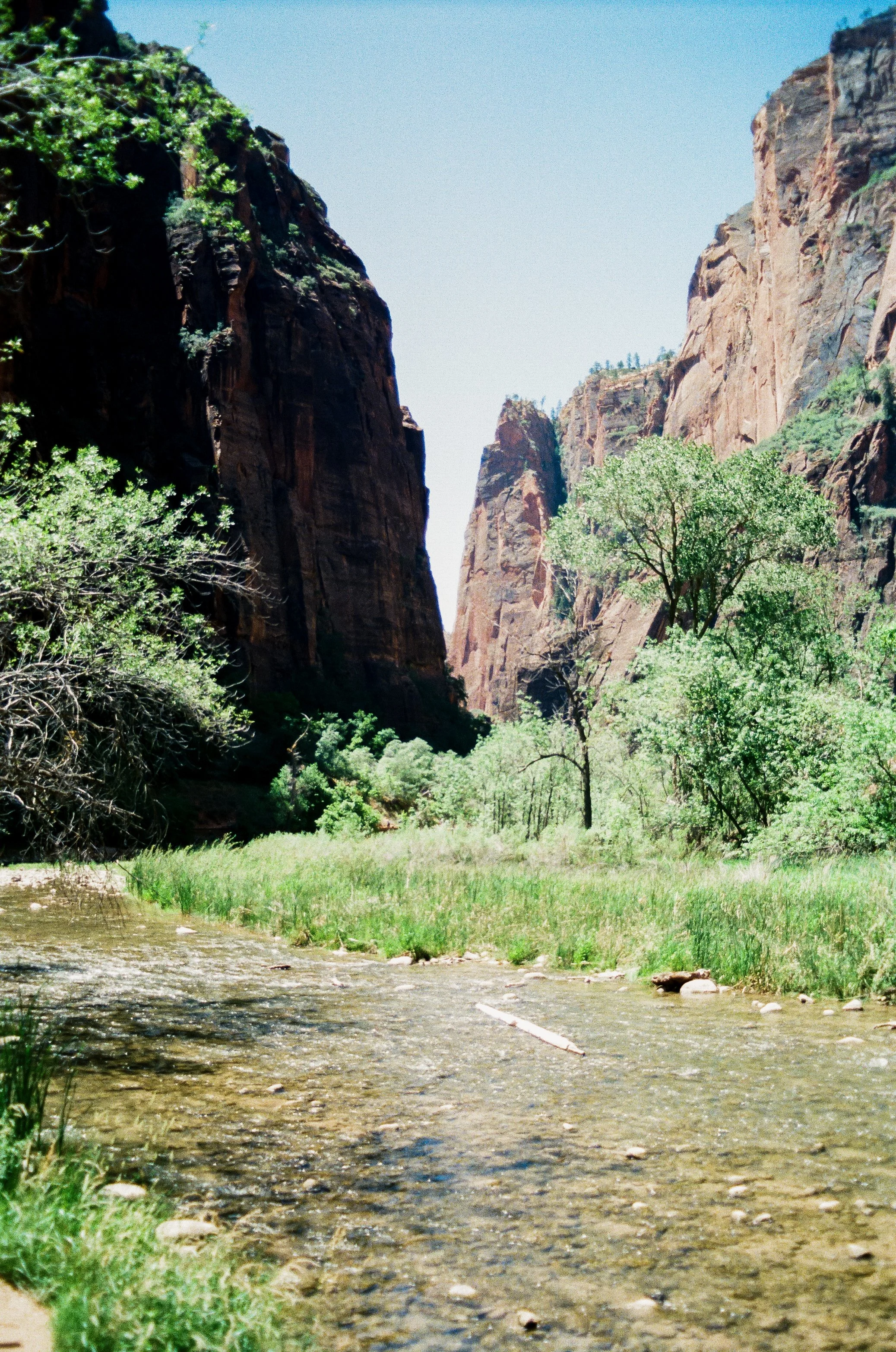 A river flowing through a valley with green grass and trees, surrounded by tall, rugged cliffs and clear blue sky.