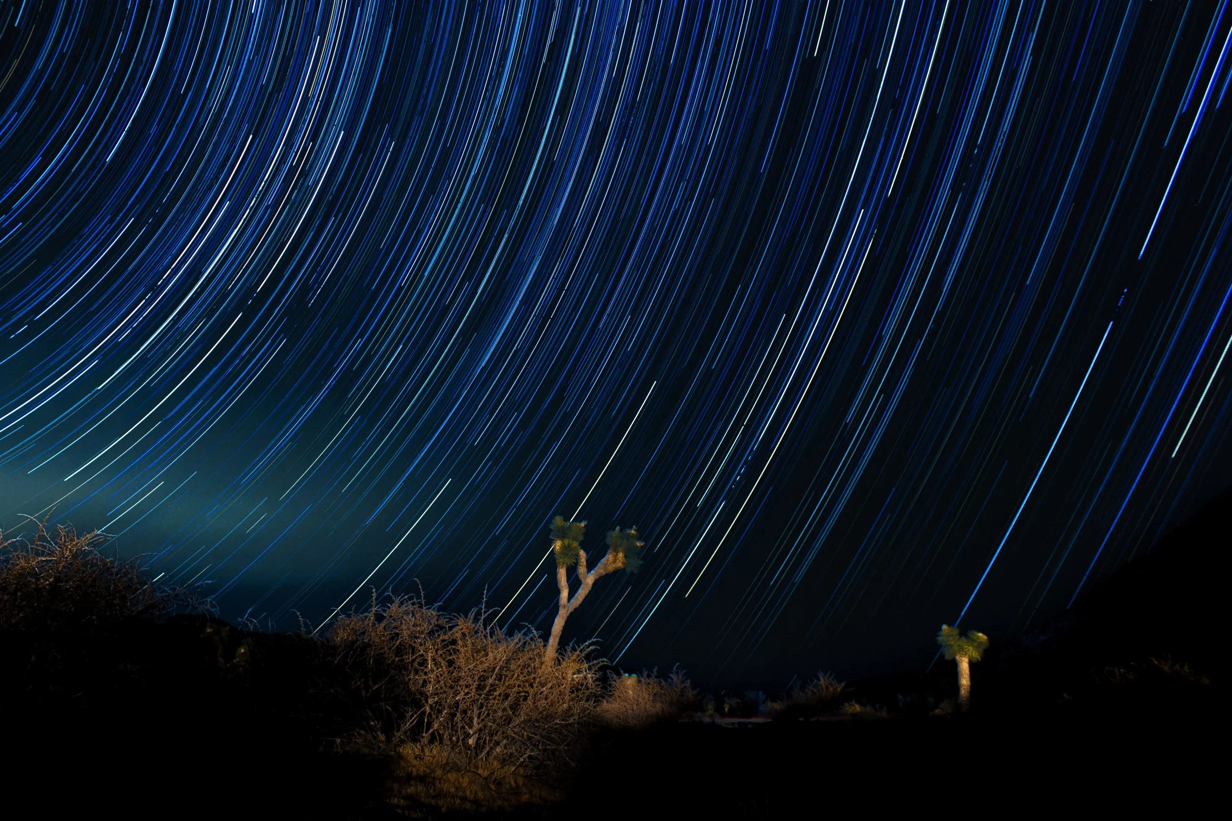 Startrails_JoshuaTree_Exposure-.JPG