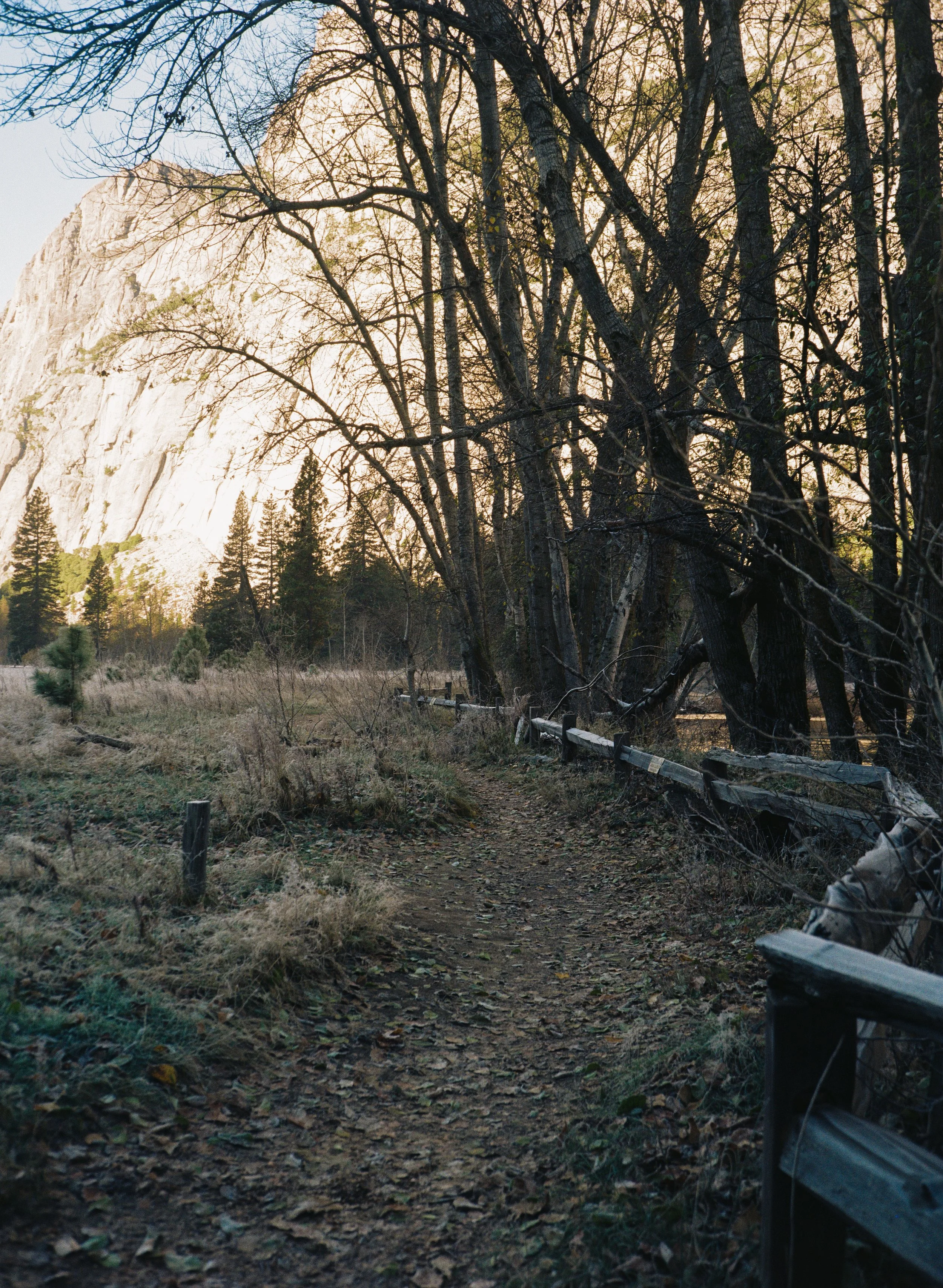 A dirt trail winding through a forested area with leafless trees on the right and a large, light-colored mountain in the background, illuminated by soft sunlight.