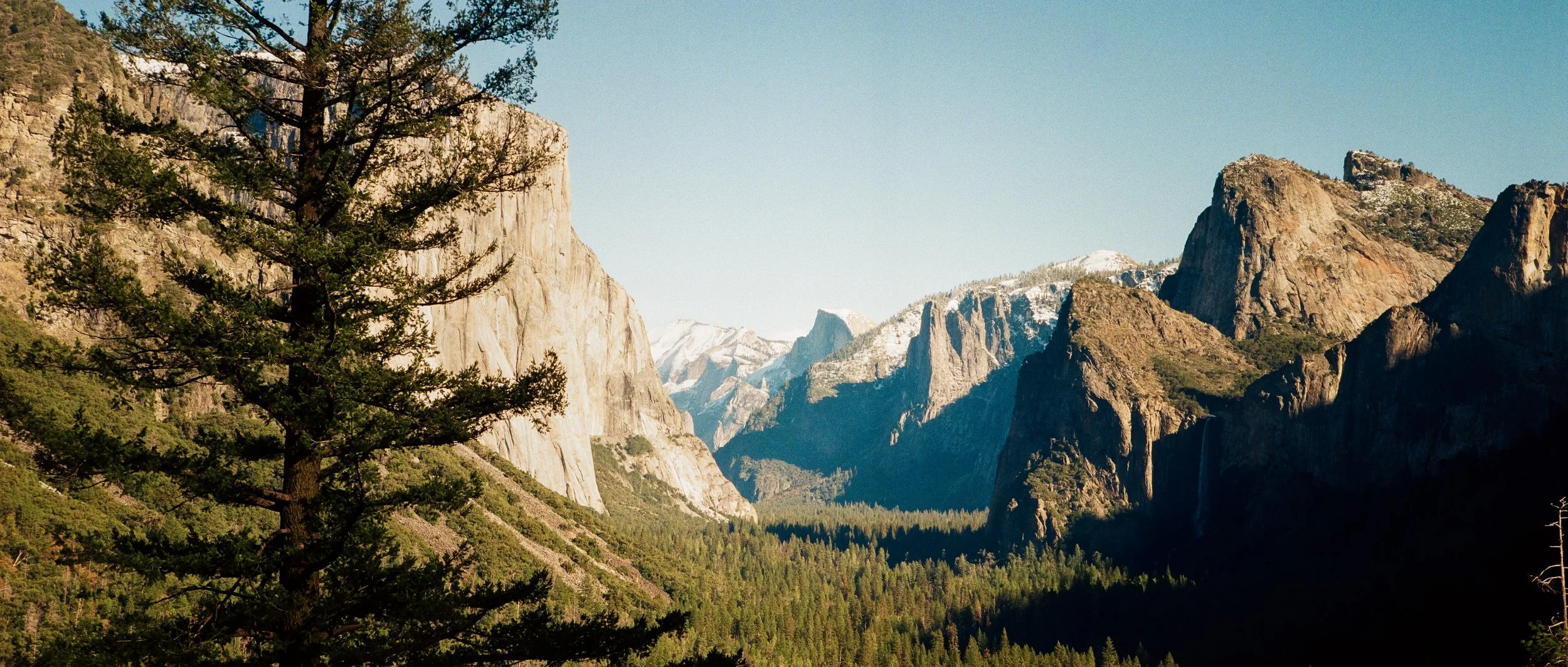 Scenic view of a mountain landscape with tall rocky cliffs, pine trees, and snow-capped mountain peaks in the background, under a clear blue sky.