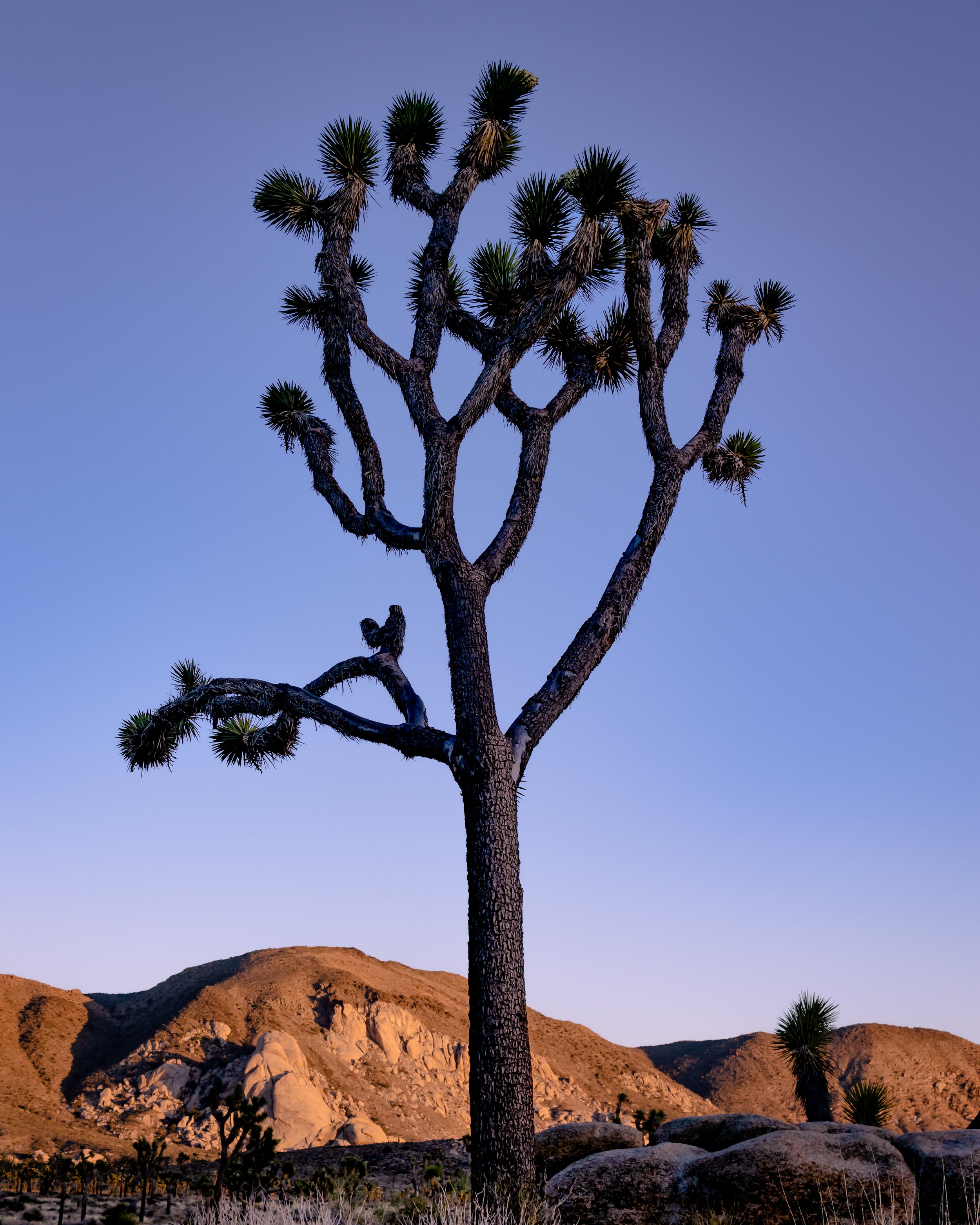ROCK_FORMATION_PASTEL_SKYS-7.jpg