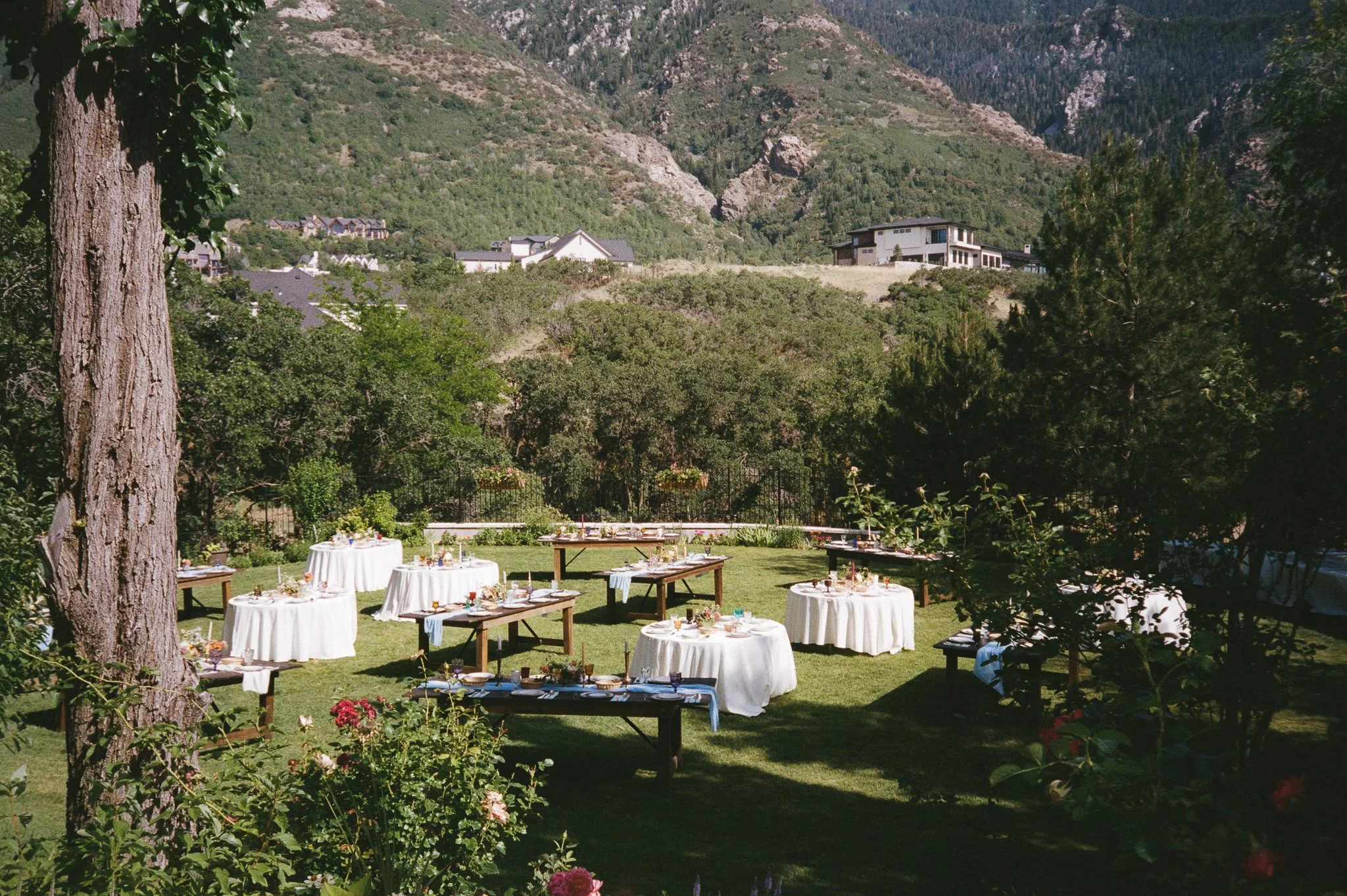 backyard-wedding-ceremony-3.jpg