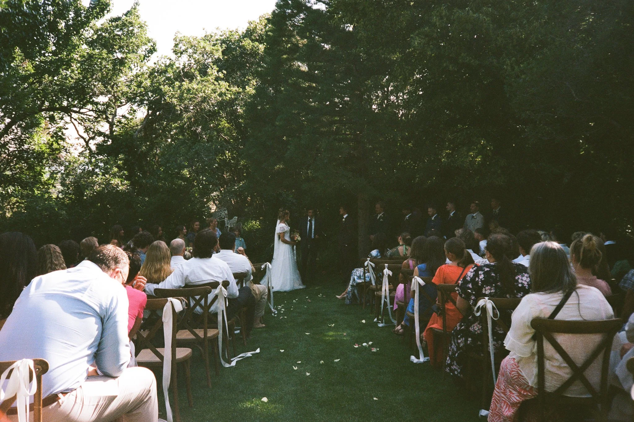 backyard-wedding-ceremony-5.jpg