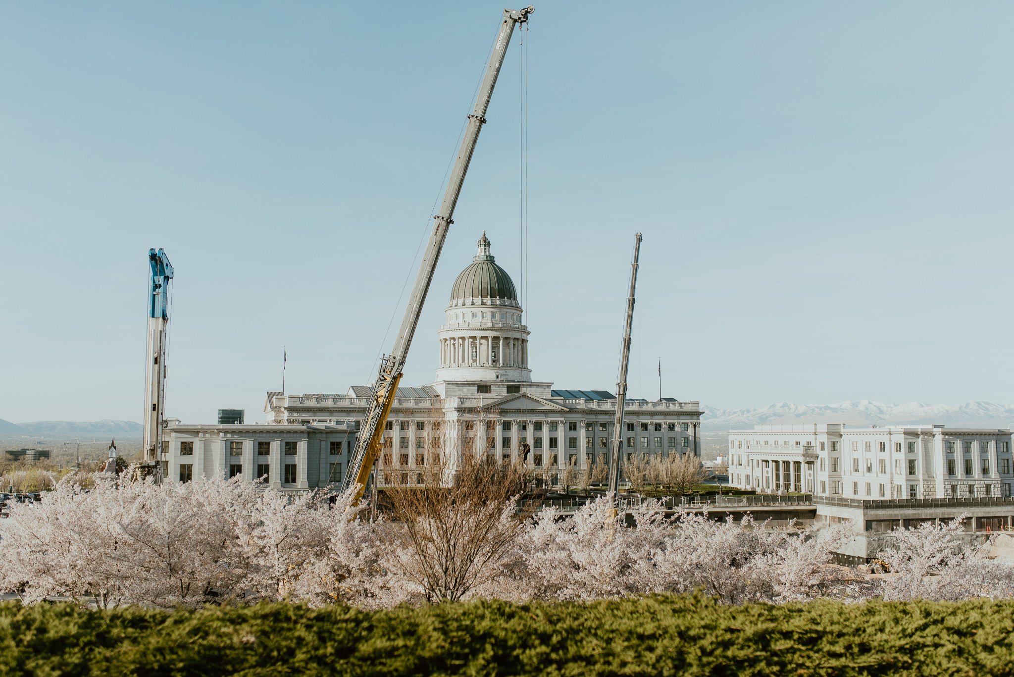Utah-State-Capitol-Spring-Blossons-Bountiful-LDS-Wedding-Hopesandcheers-photo-1