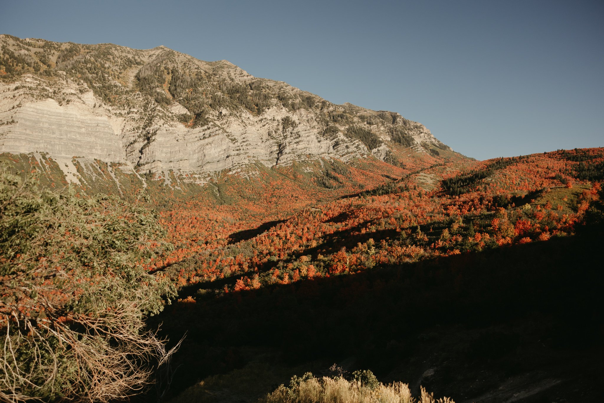 Fall-Engagement-Provo-Canyon-Utah-Photographer-Hopesandcheersphoto-139.jpg