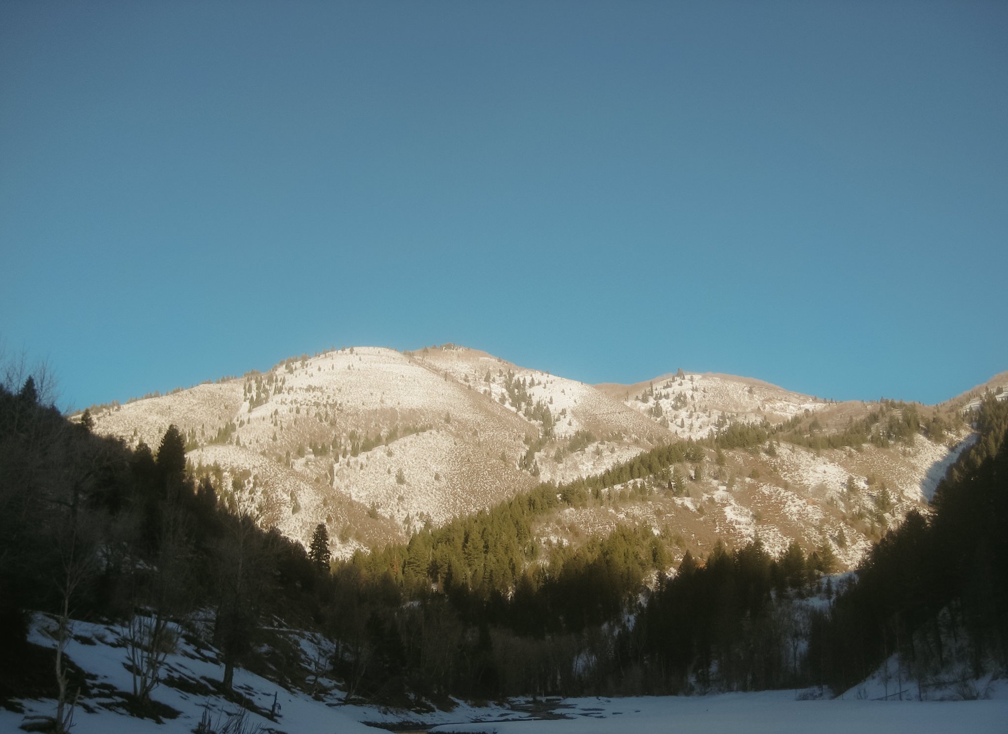 Tibble-Fork-Utah-Elopement-Winter-Hopes-and-cheers-photo-6.jpg