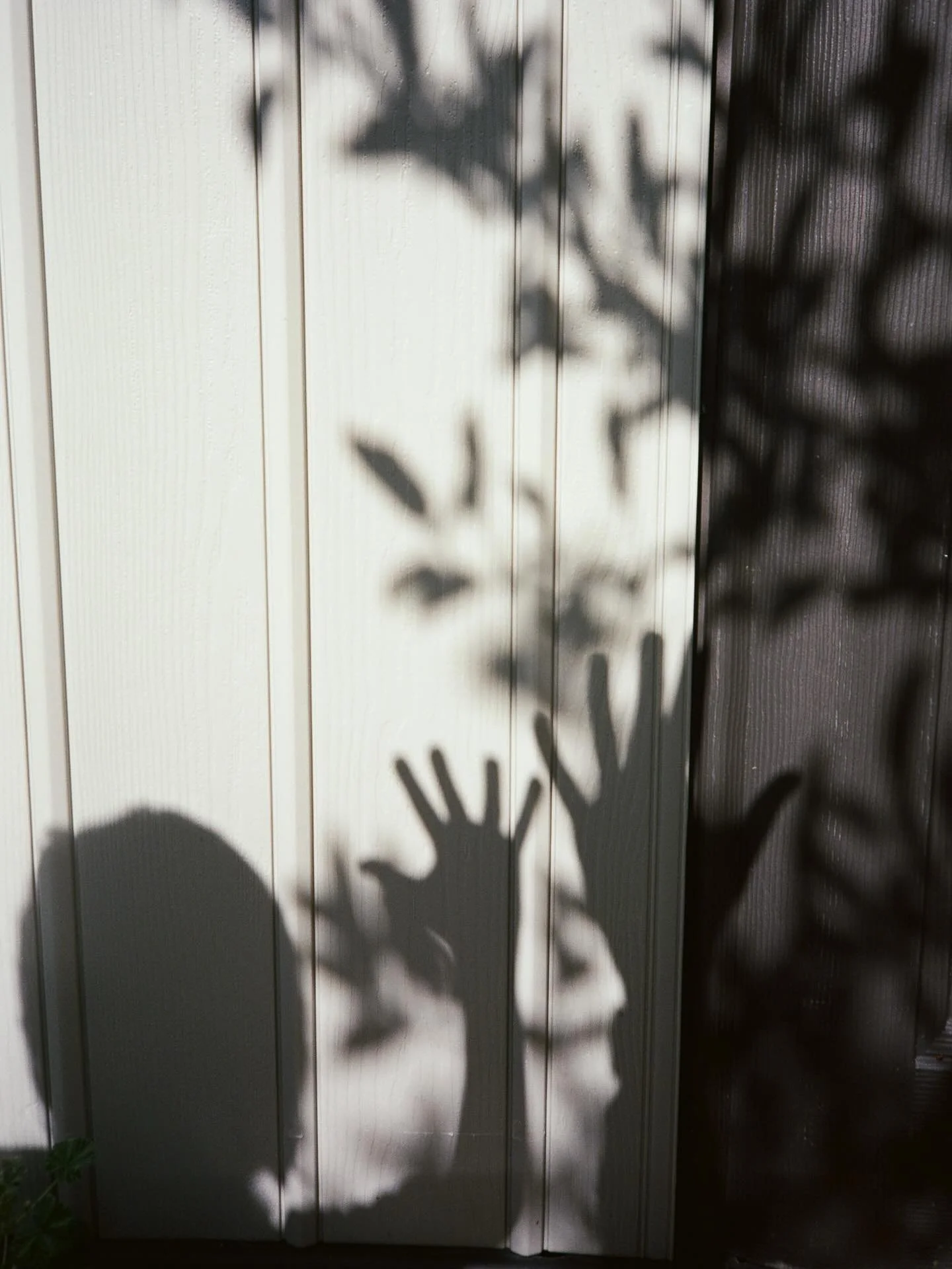 From the day we were looking around for shadows. 

I&rsquo;ve felt that shadows live in the unseen and the unfelt, 
the parts we don&rsquo;t say out loud but simply live through.

Motherhood feels a lot like that.
We dive into the unknown, and the ex