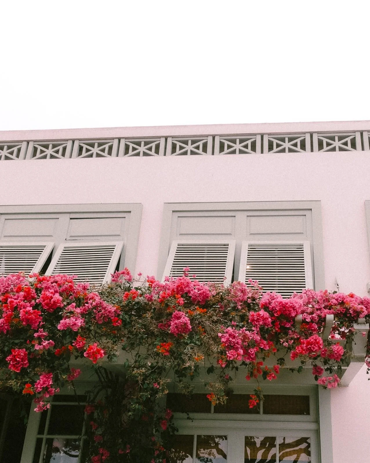 The simple joy of finding flowers and colors wherever I go. Santa Monica Nov 25

#utahweddingphotographer #californiacolors #utahphotographer