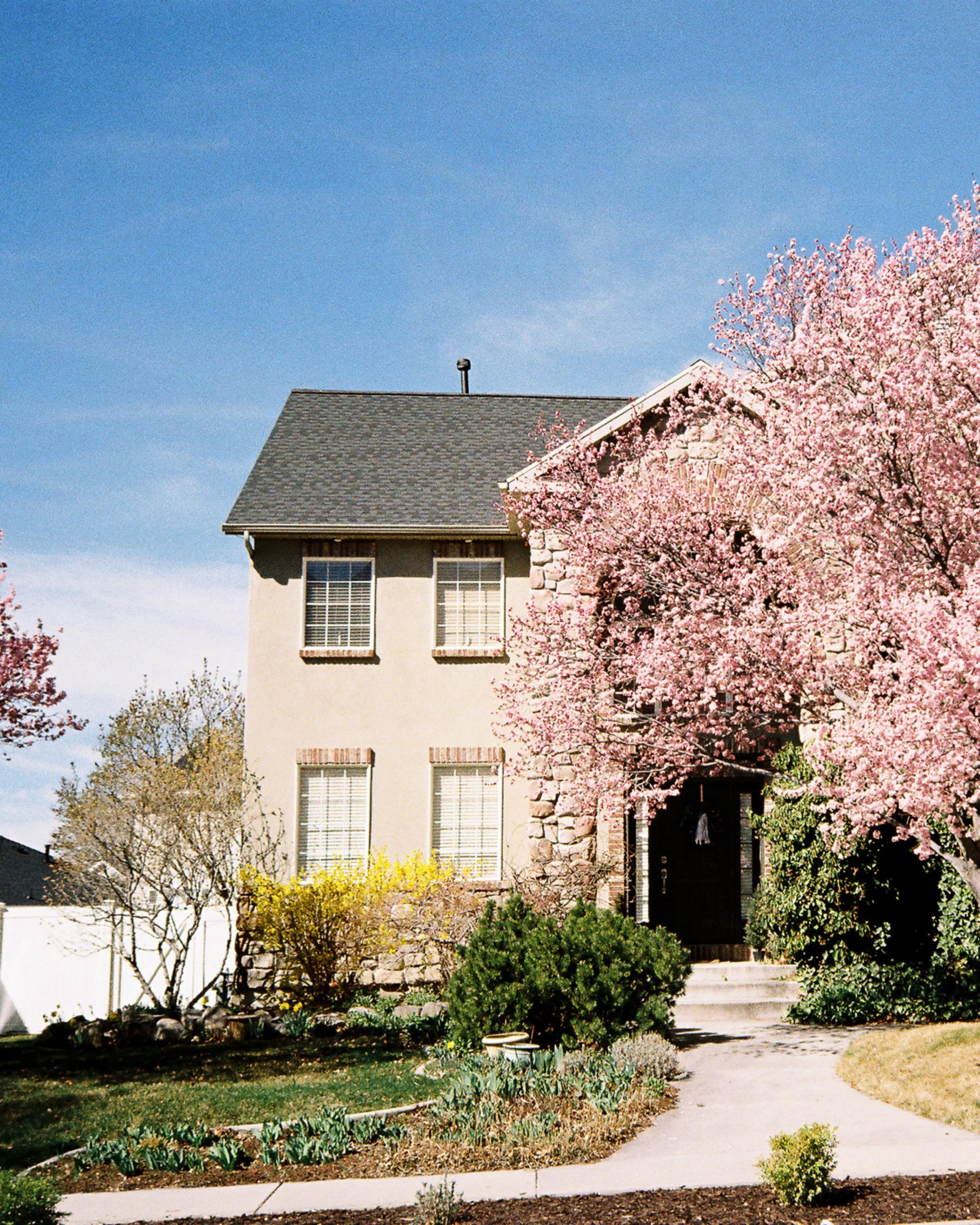 Anyone else here enjoys looking at houses and trying to figure out how they&rsquo;ll probably look on the inside?

Also this is April in Utah and its one week pink trees, yes 1 week and gone gone pink flowers 

#springinutah #kodakcolorplus200 #35mmf
