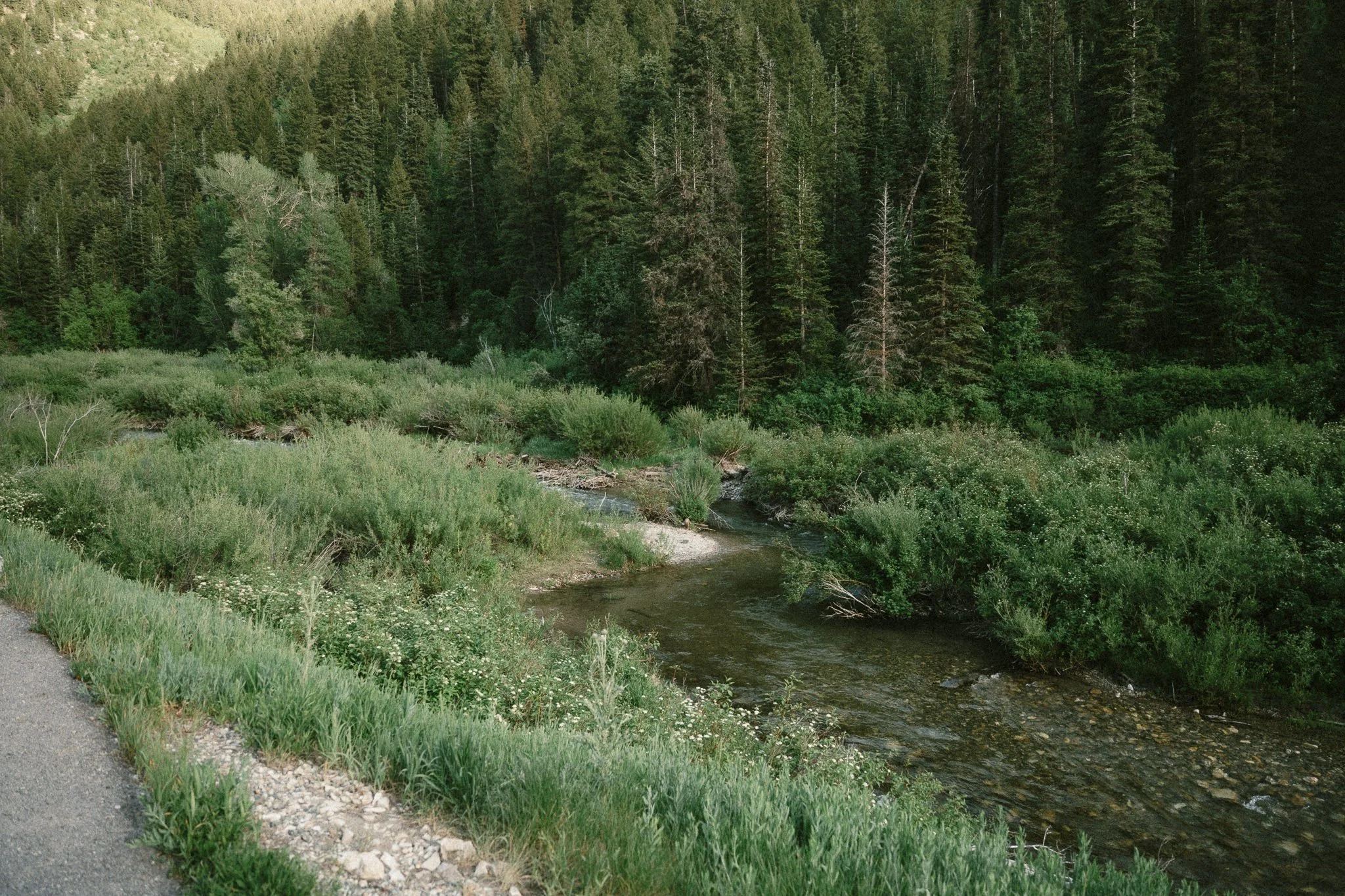 big-cottonwood-canyon-wedding-photos-148.jpg