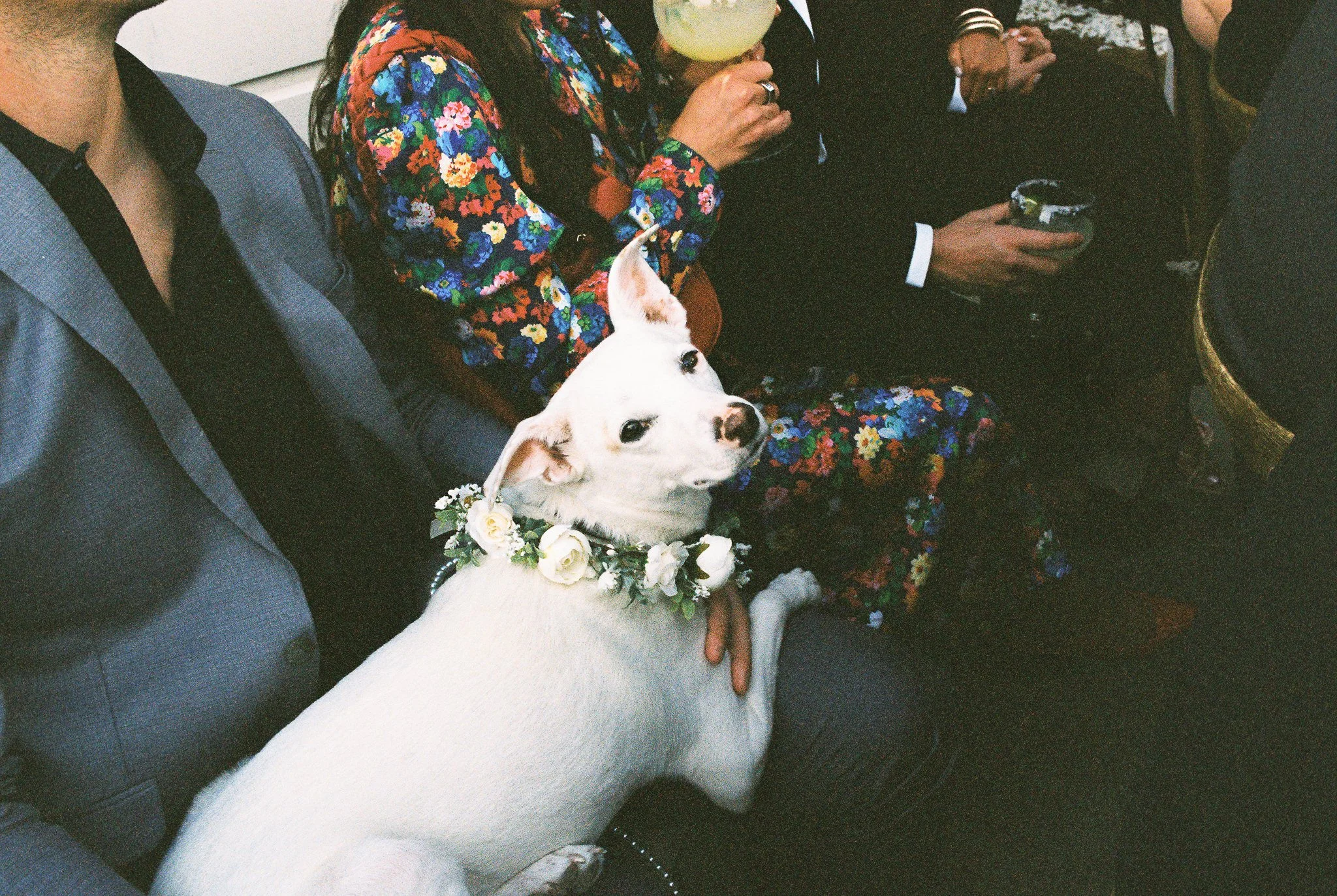 park-city-wedding-on-film-44.jpg