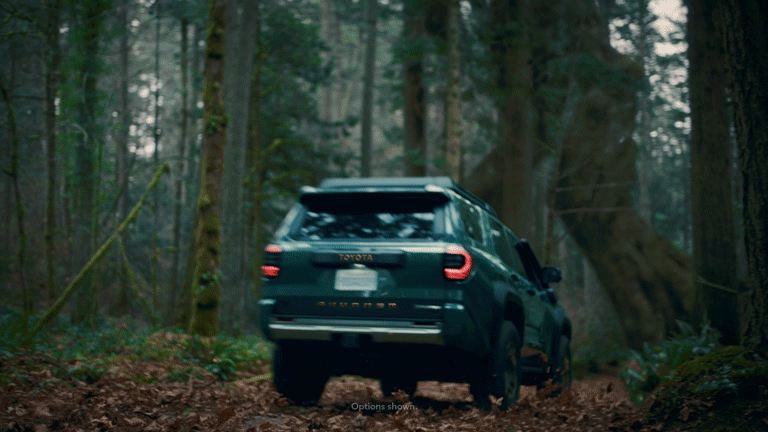 Into The Wild Tree 40.gif
