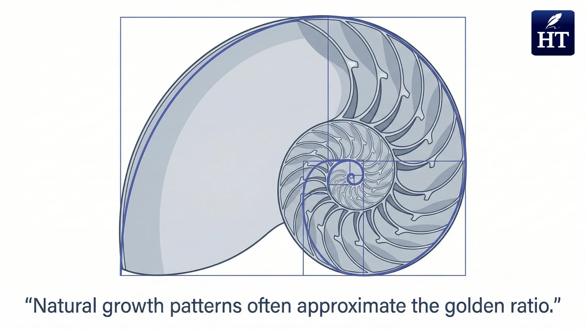 Golden Ratio in Nature Visual Examples
